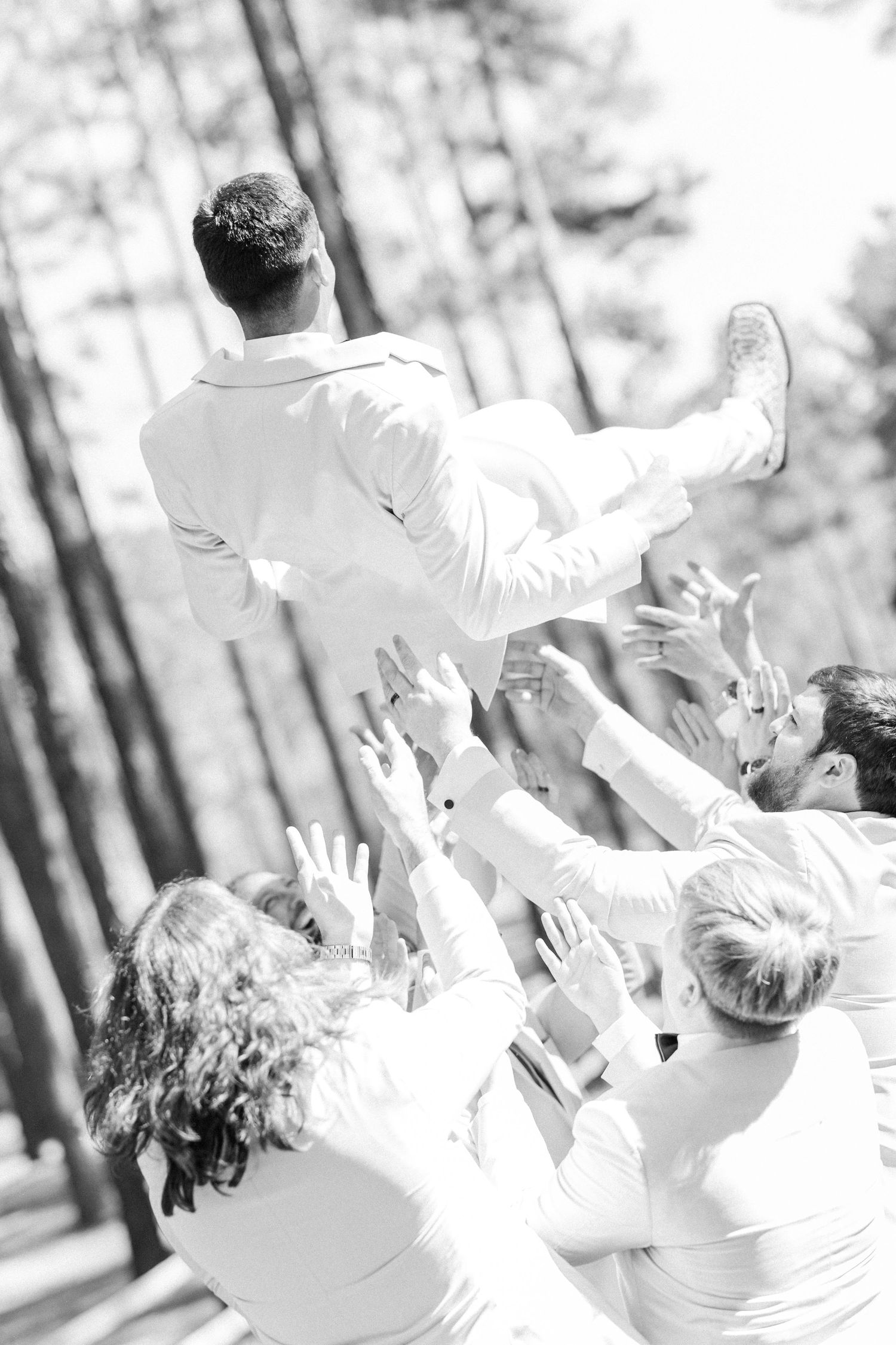 Black and white photo of groomsmen tossing groom into the air outdoors among pine trees.