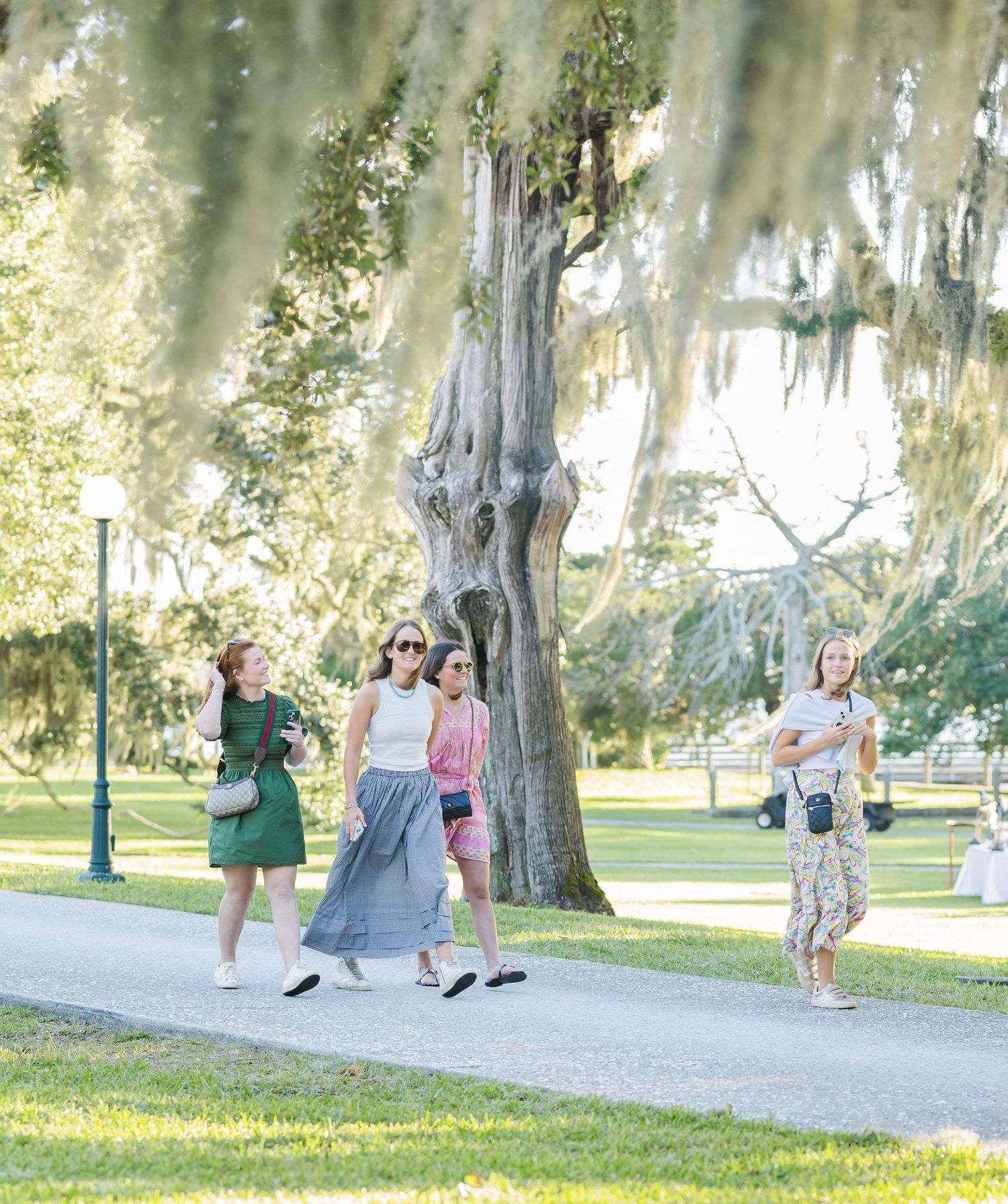 People walk together along a tree-lined path in a sunny park with Spanish moss hanging from branches.