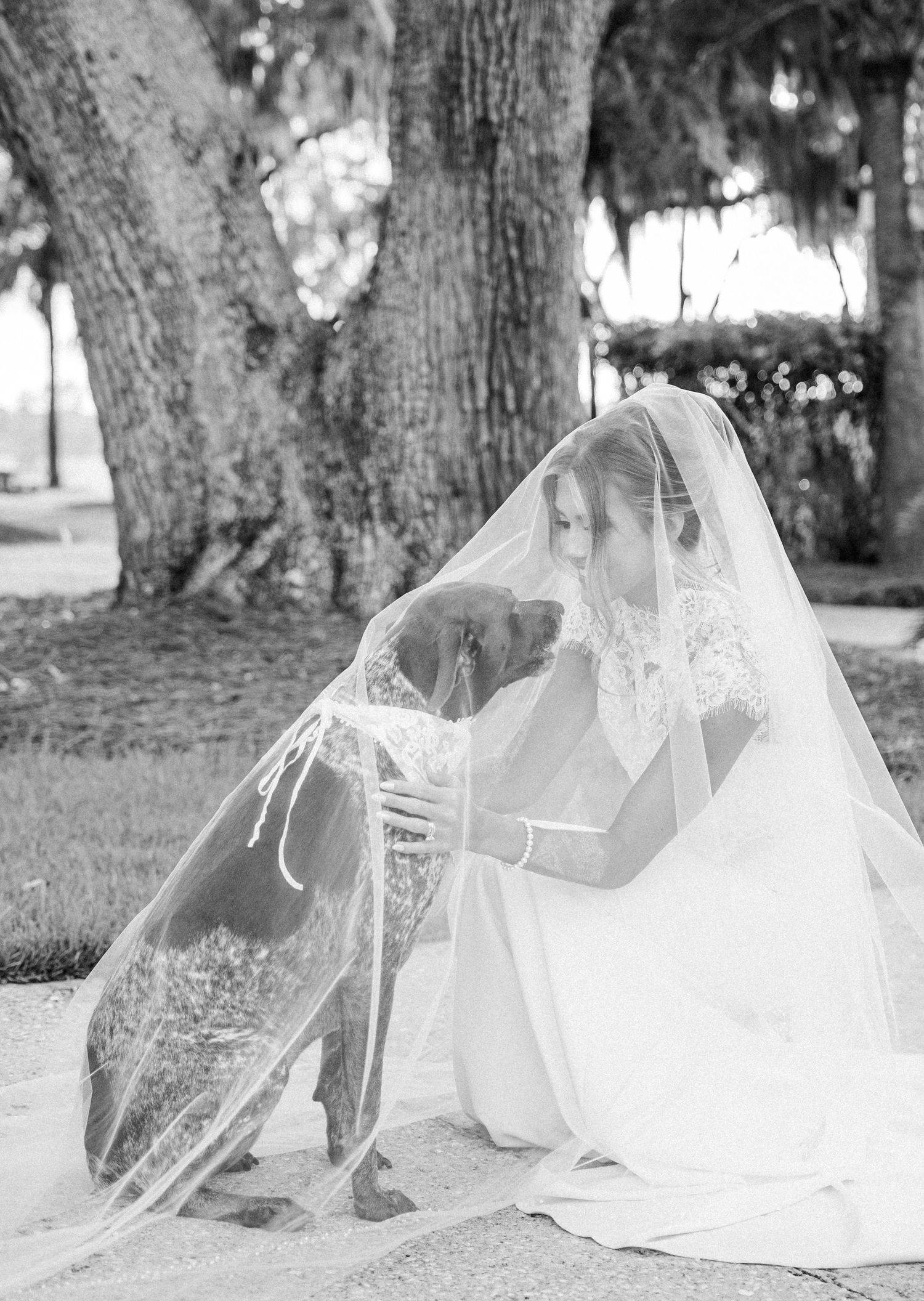 Black and white photo of a bride in a veil sharing a tender moment with her dog under a large oak tree.