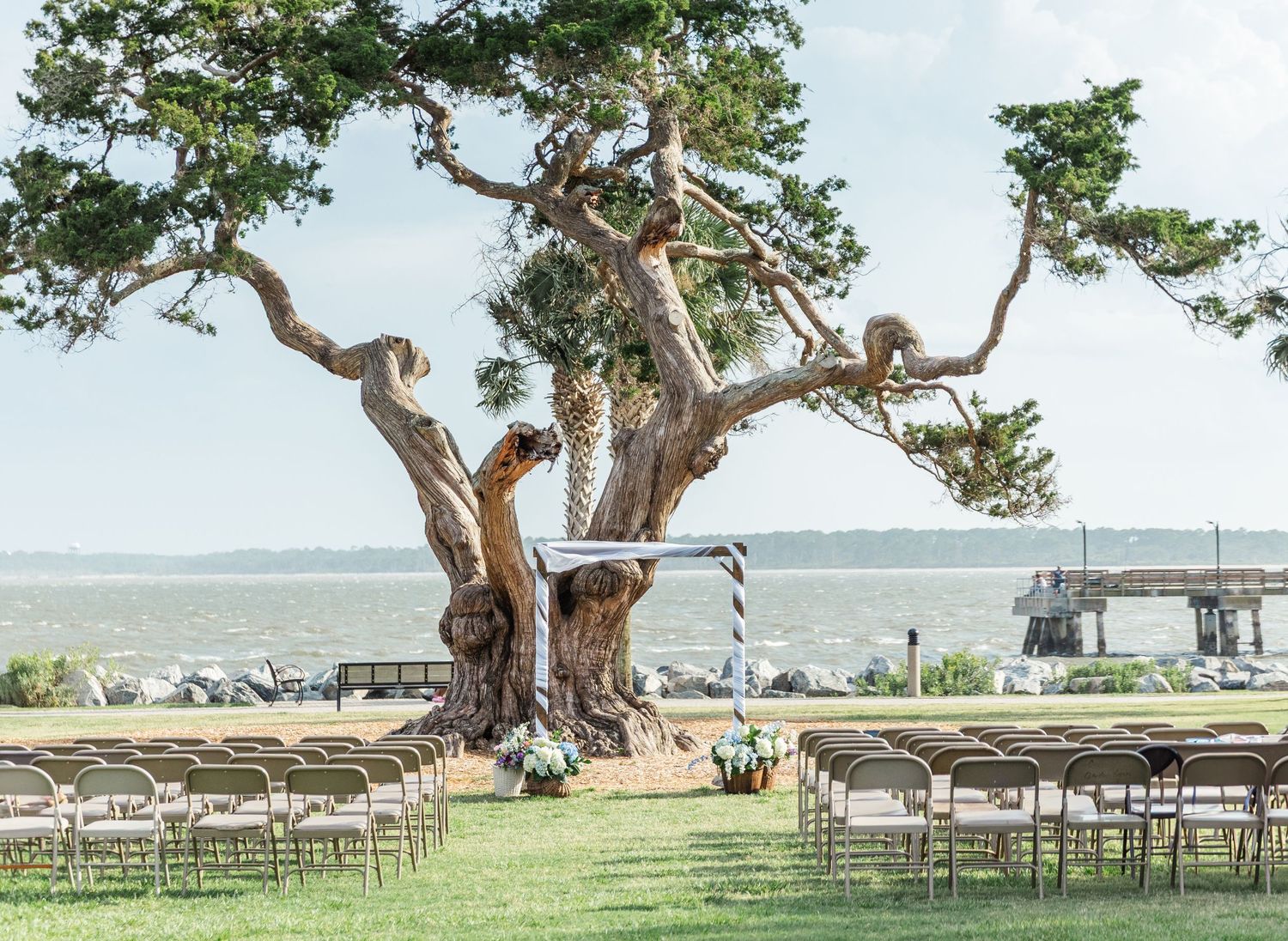 A rustic outdoor wedding ceremony setup with wooden chairs arranged beneath a gnarled tree overlooking the water.