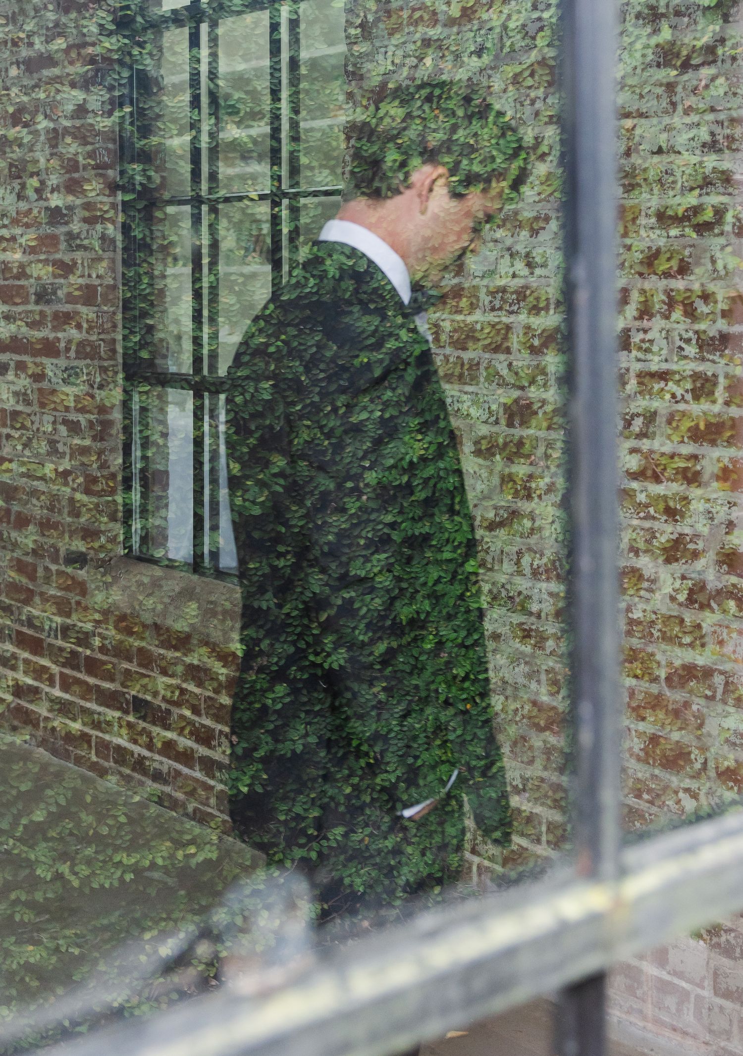 Groom in dark suit reflected in window with brick wall and green foliage double exposure effect.