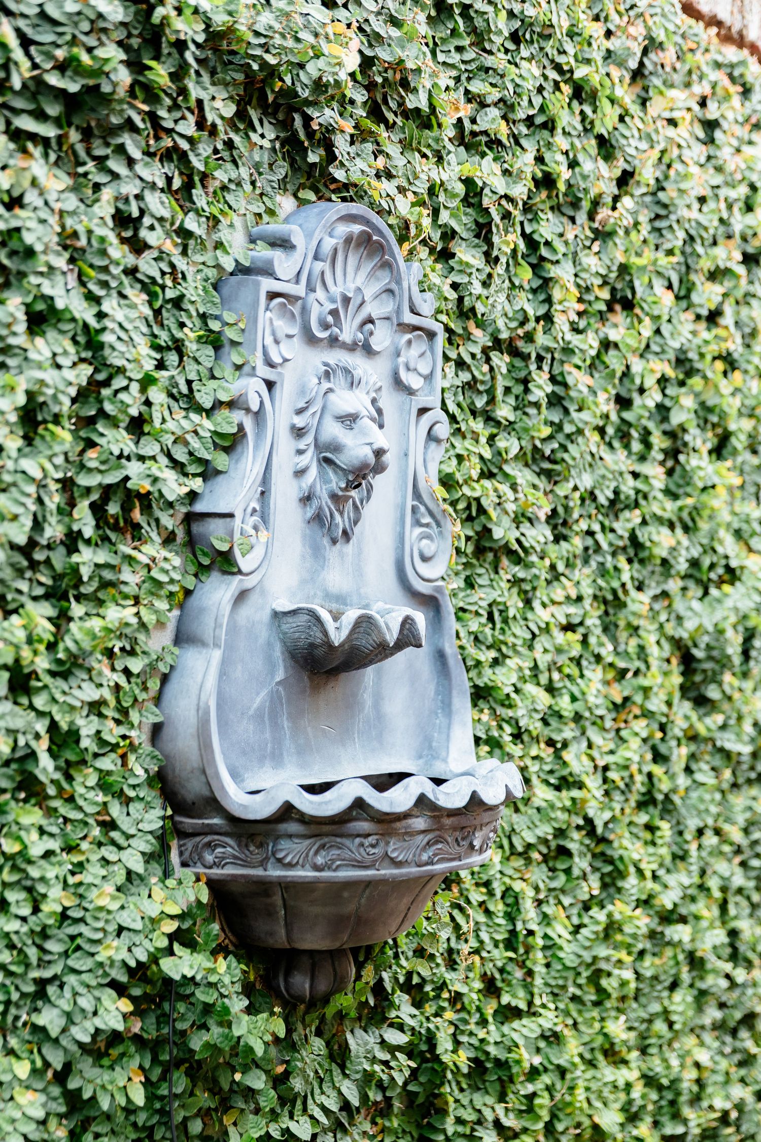 Ornate stone lion head fountain mounted on a green ivy-covered wall in a garden setting.