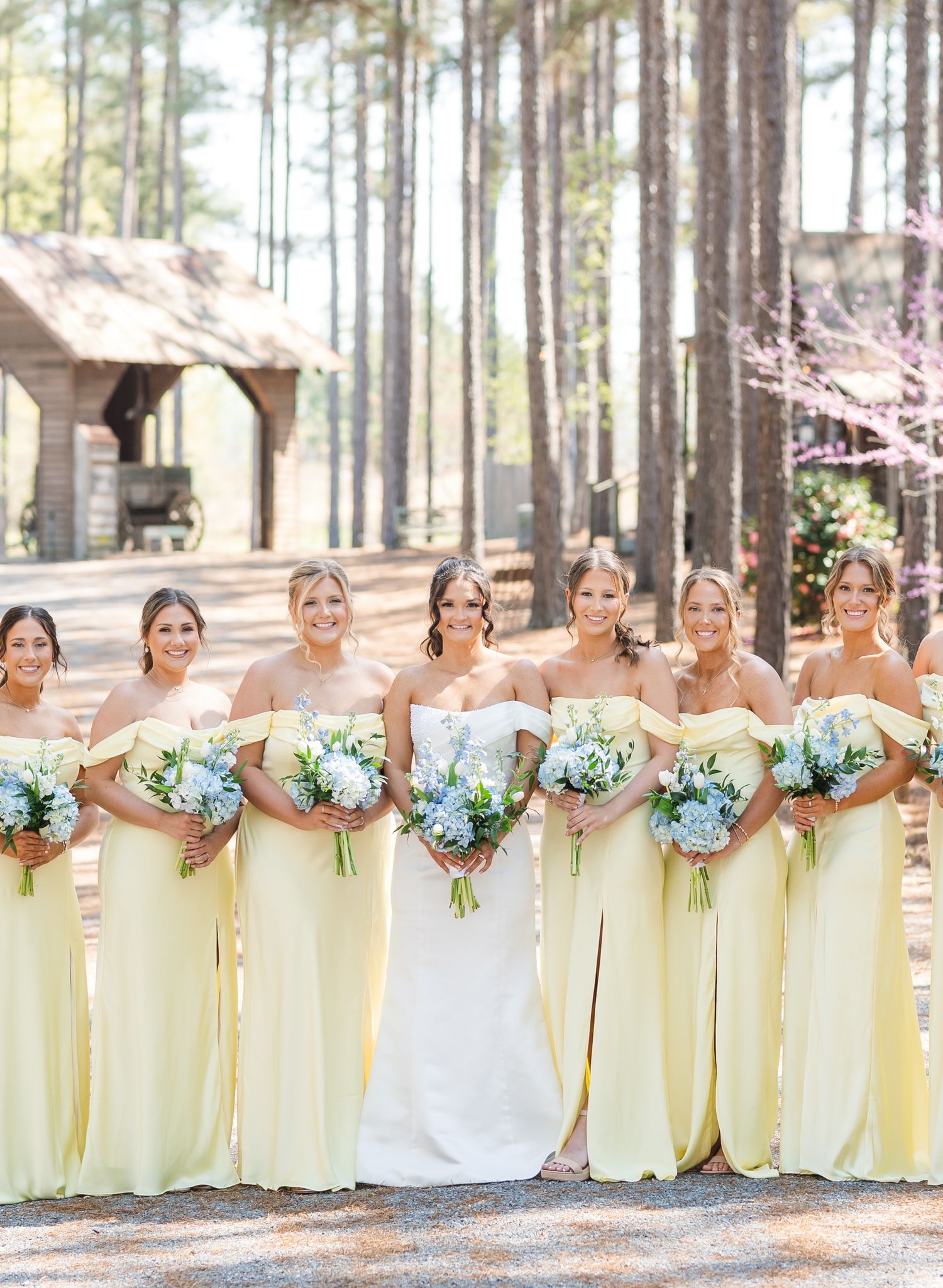 Bridesmaids in yellow off-shoulder gowns hold blue bouquets with bride in pine tree setting.