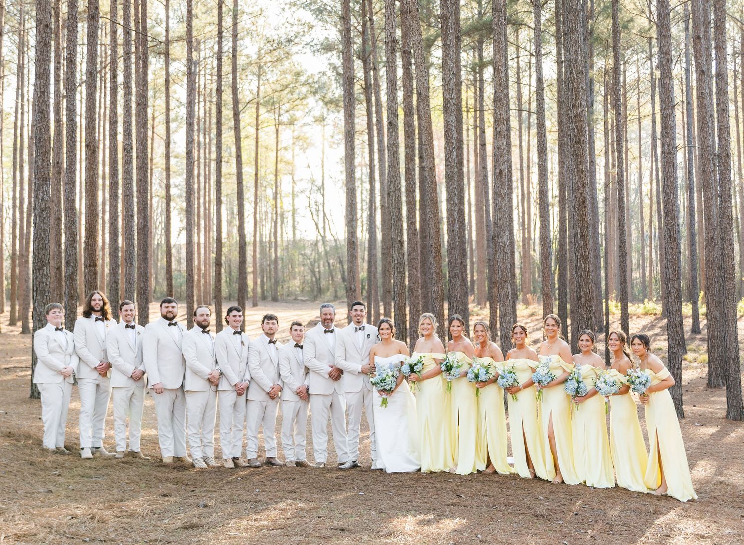 Full wedding party in cream suits and yellow gowns posing among tall pine trees.