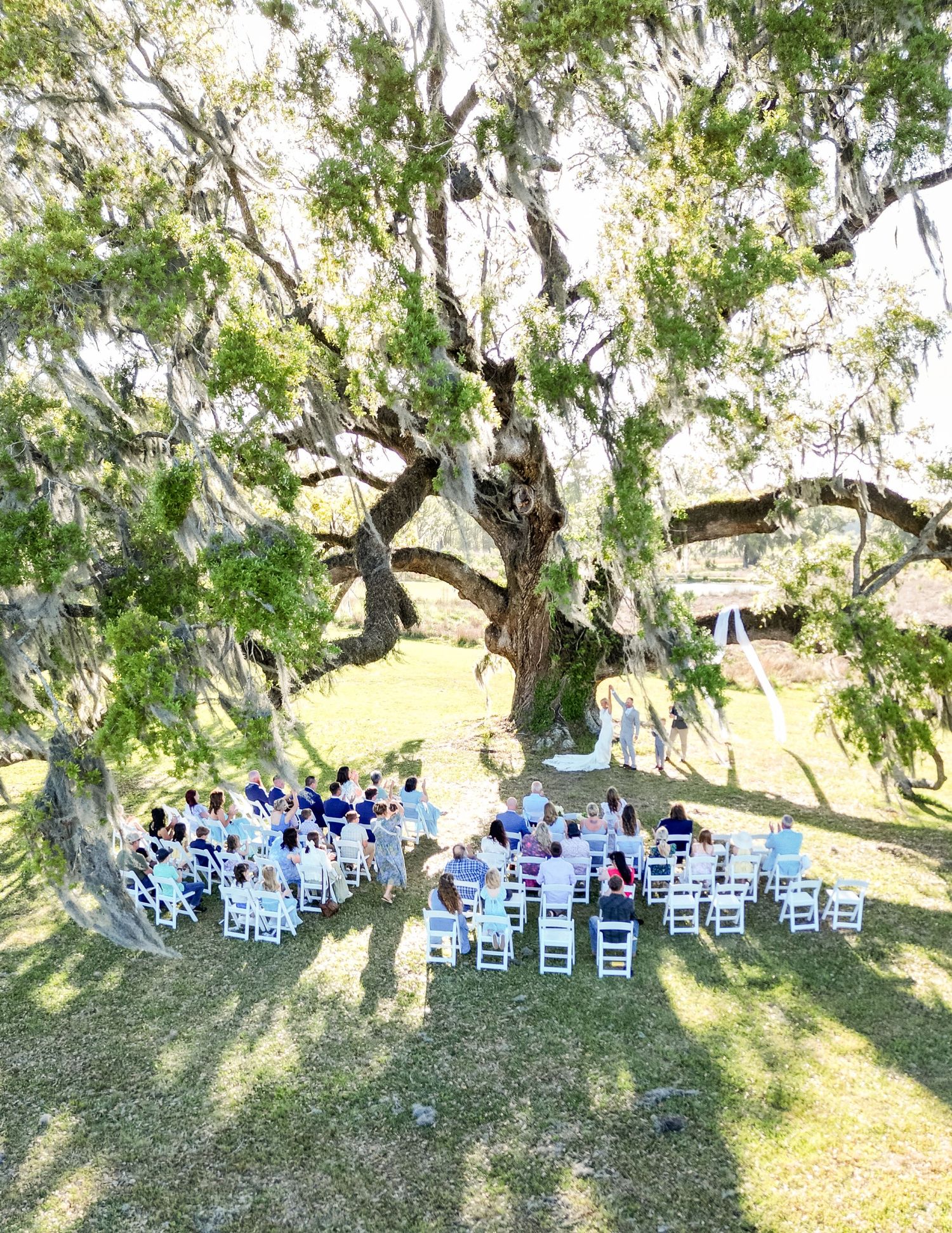 Aerial view of outdoor wedding ceremony under massive live oak tree with Spanish moss, guests seated in white chairs.