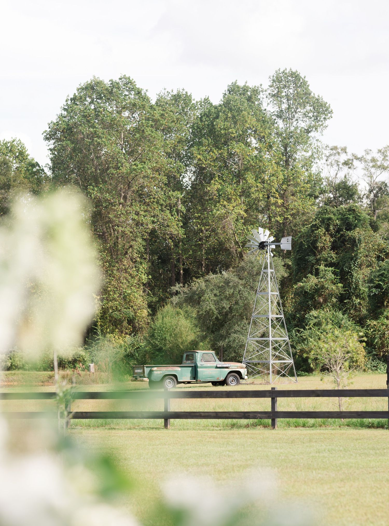 A vintage pickup truck parked near a wooden fence with trees and power lines in the background.
