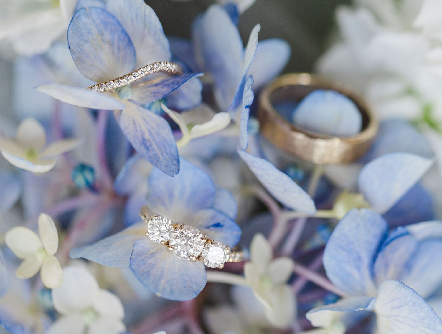 Diamond engagement ring and wedding bands nestled among blue hydrangea flowers for a romantic detail shot.