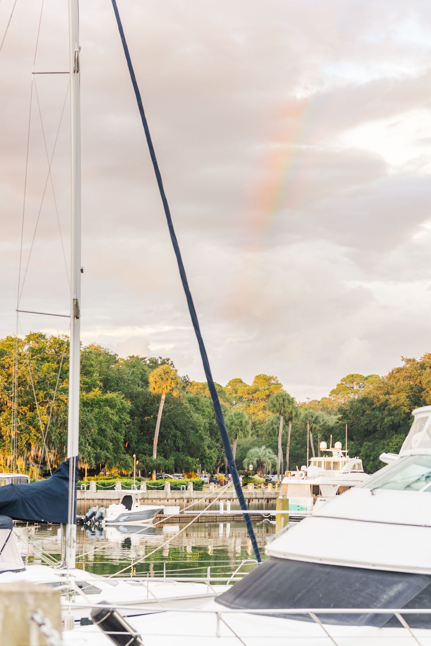 Rainbow appears over marina with luxury yachts and boats docked against lush green trees at sunset.