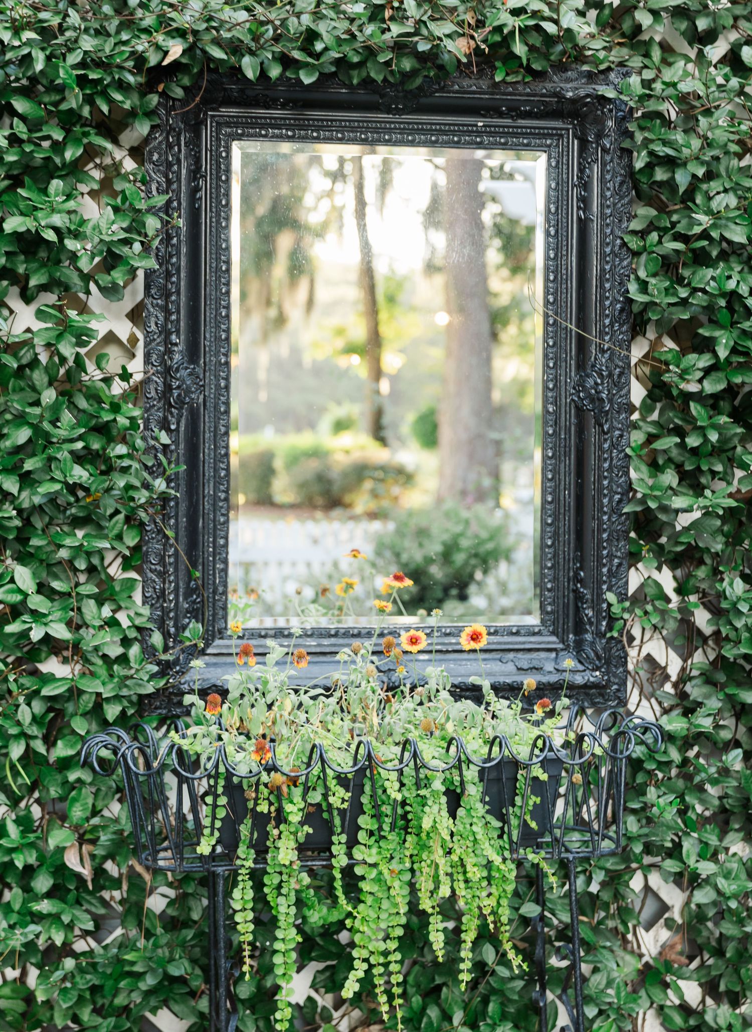 Ornate black vintage frames hang against a wall of lush green ivy in an outdoor garden setting.