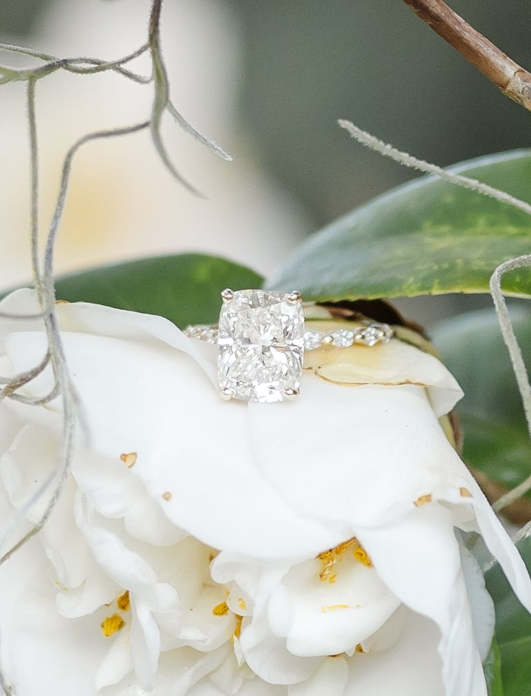 A sparkling diamond engagement ring rests atop delicate white camellia petals with green foliage in the background.