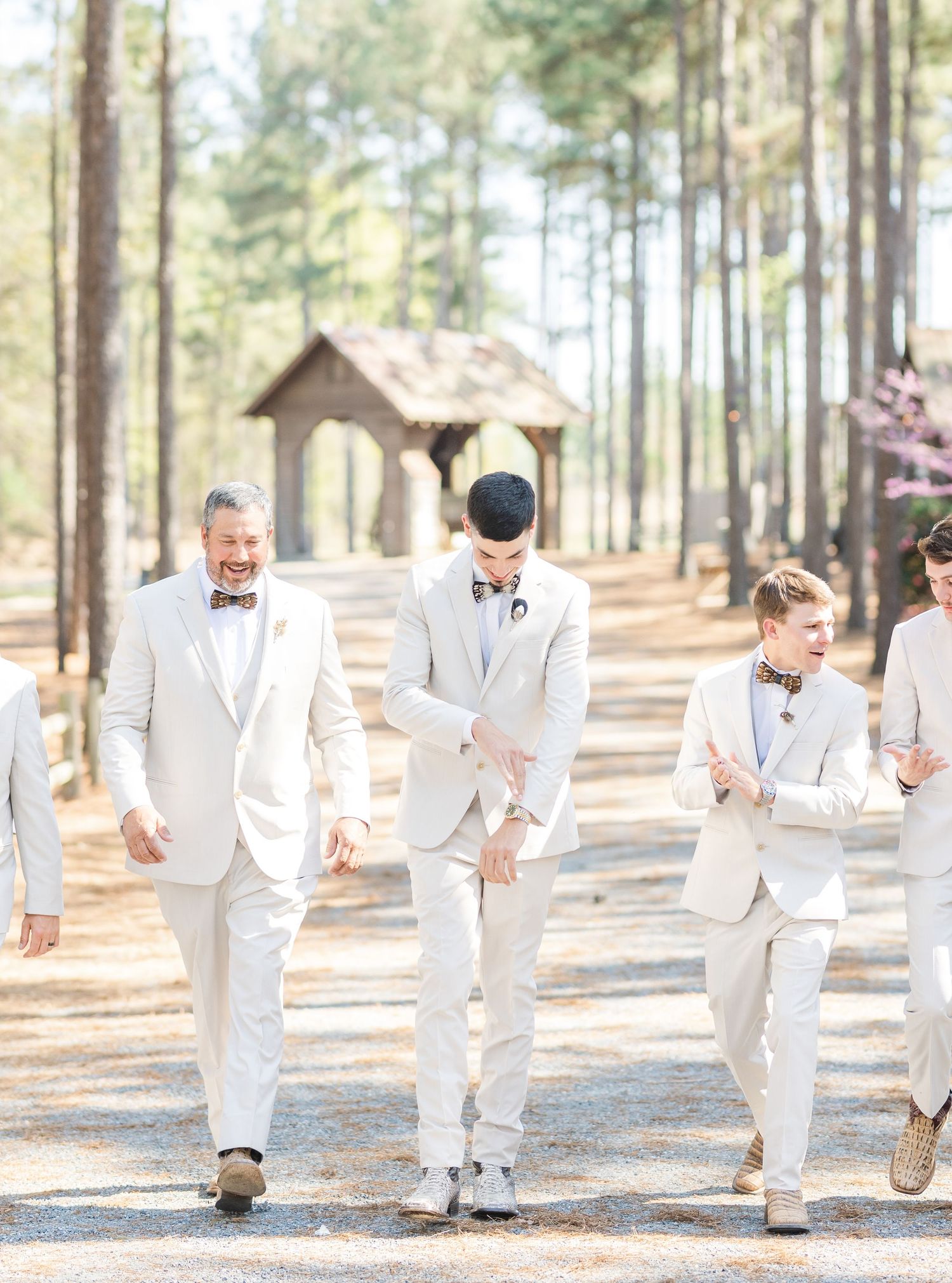 Groom and groomsmen in matching beige suits walking down a pine tree-lined gravel path.