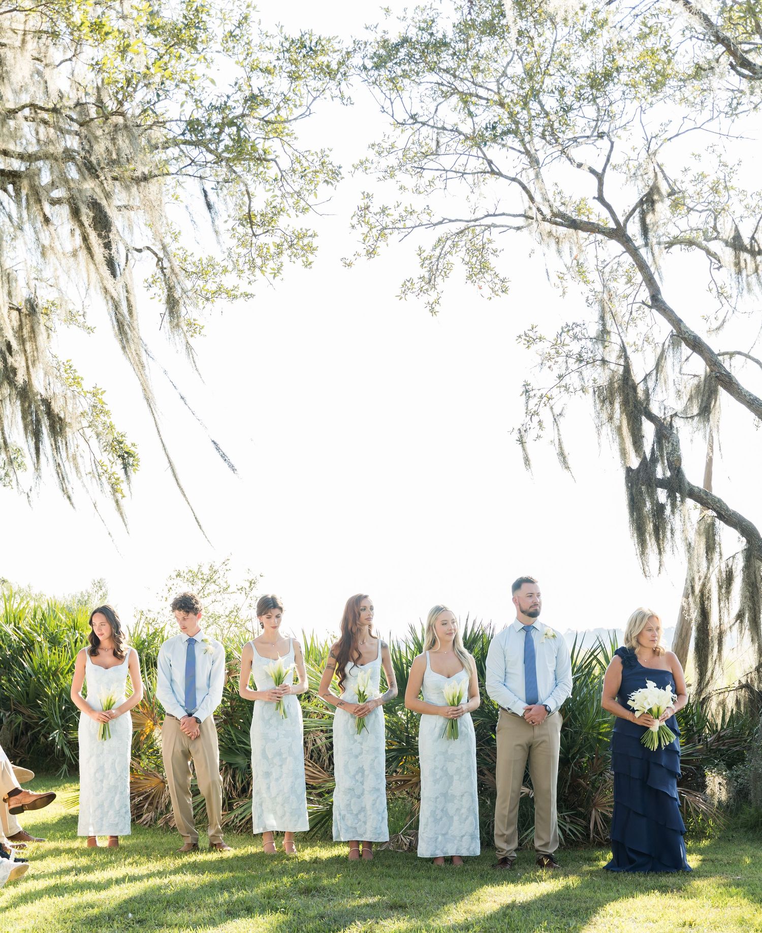 Wedding party poses in a line under Spanish moss-draped trees on a bright sunny day.
