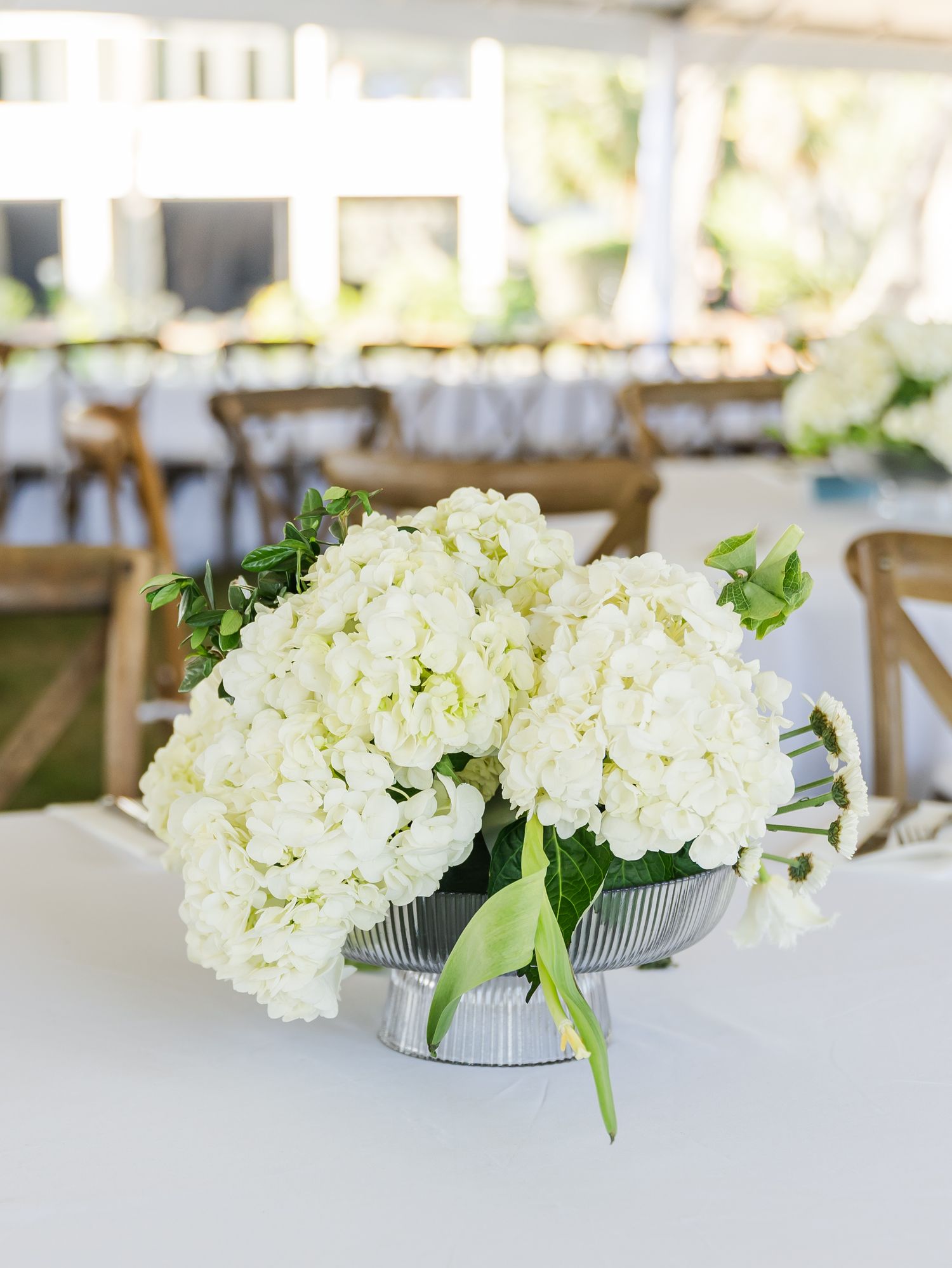 White hydrangea centerpieces in glass vases arranged on crisp white tablecloths at a formal event.