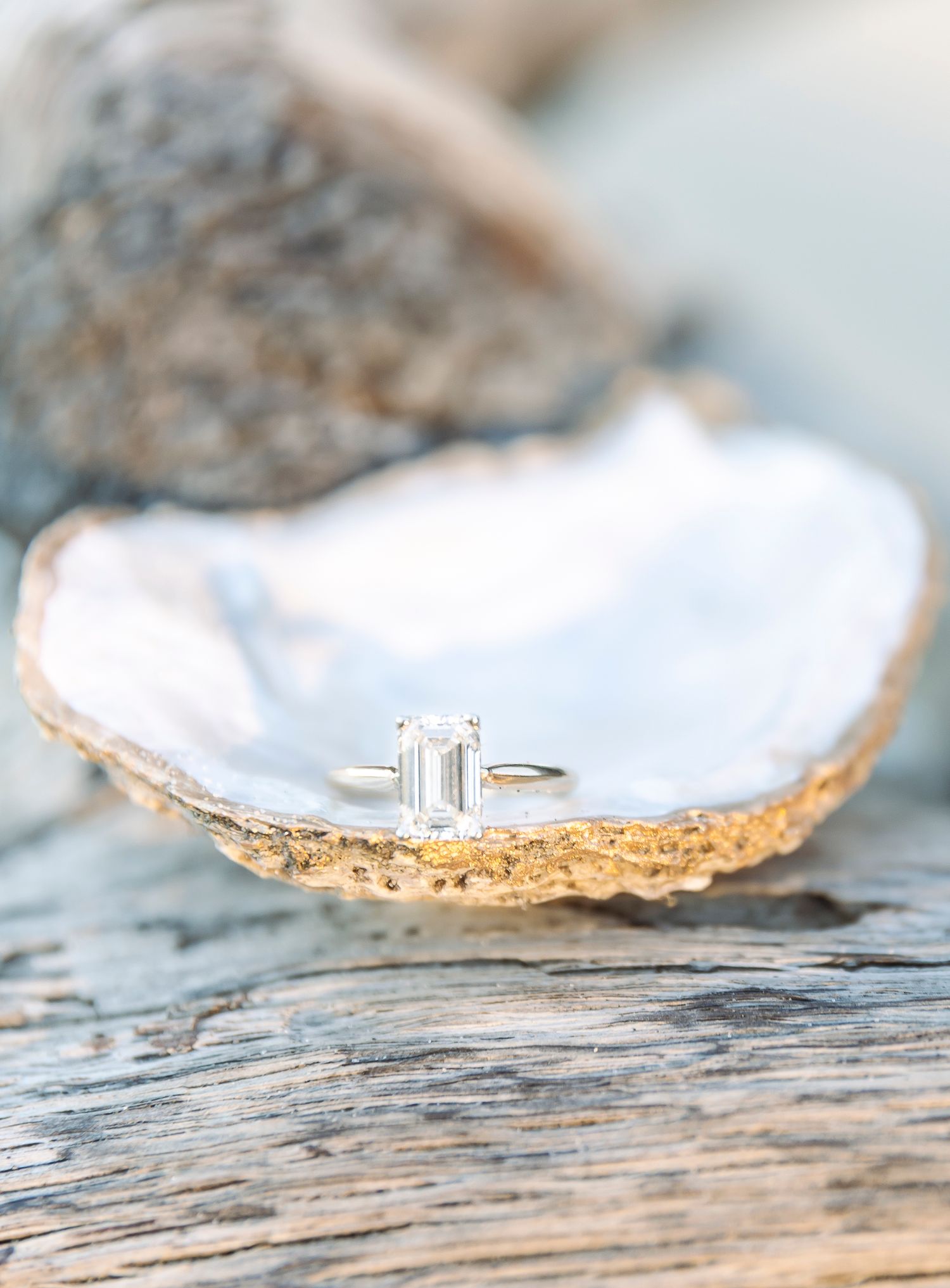 An engagement ring sits delicately in a pearly oyster shell on weathered driftwood.