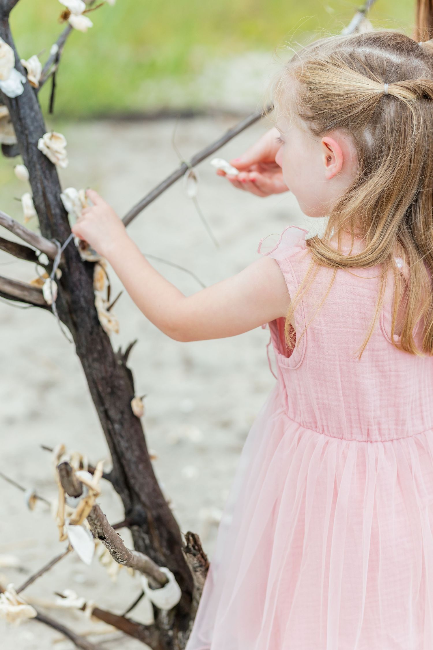 A child wearing a pink dress reaches up delicately to touch white spring blossoms on a tree branch.