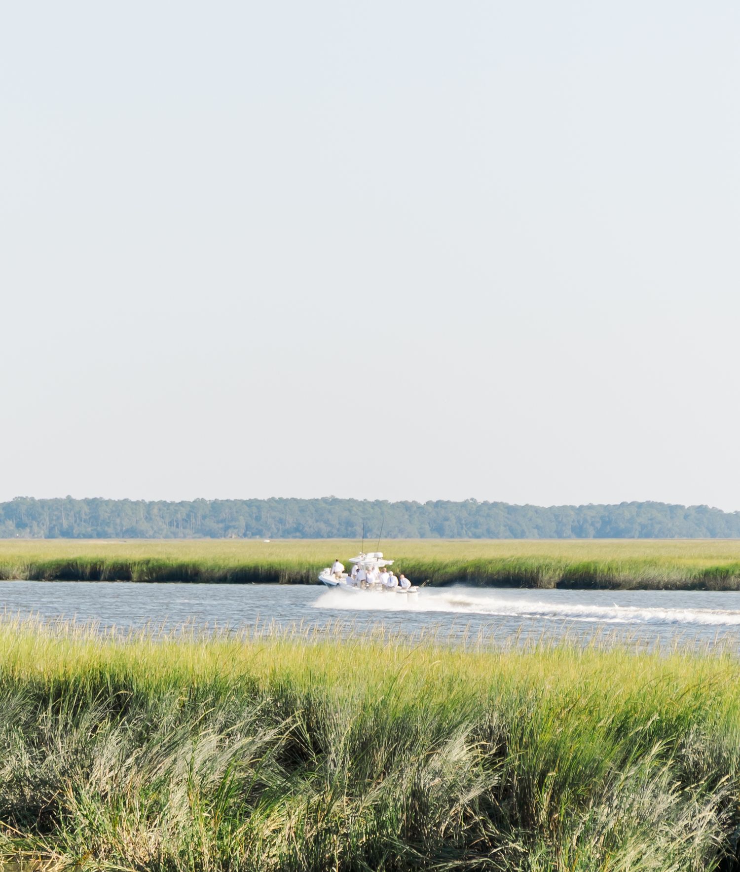 A panoramic view of coastal marshlands with tall grass and water stretching to the distant treeline.