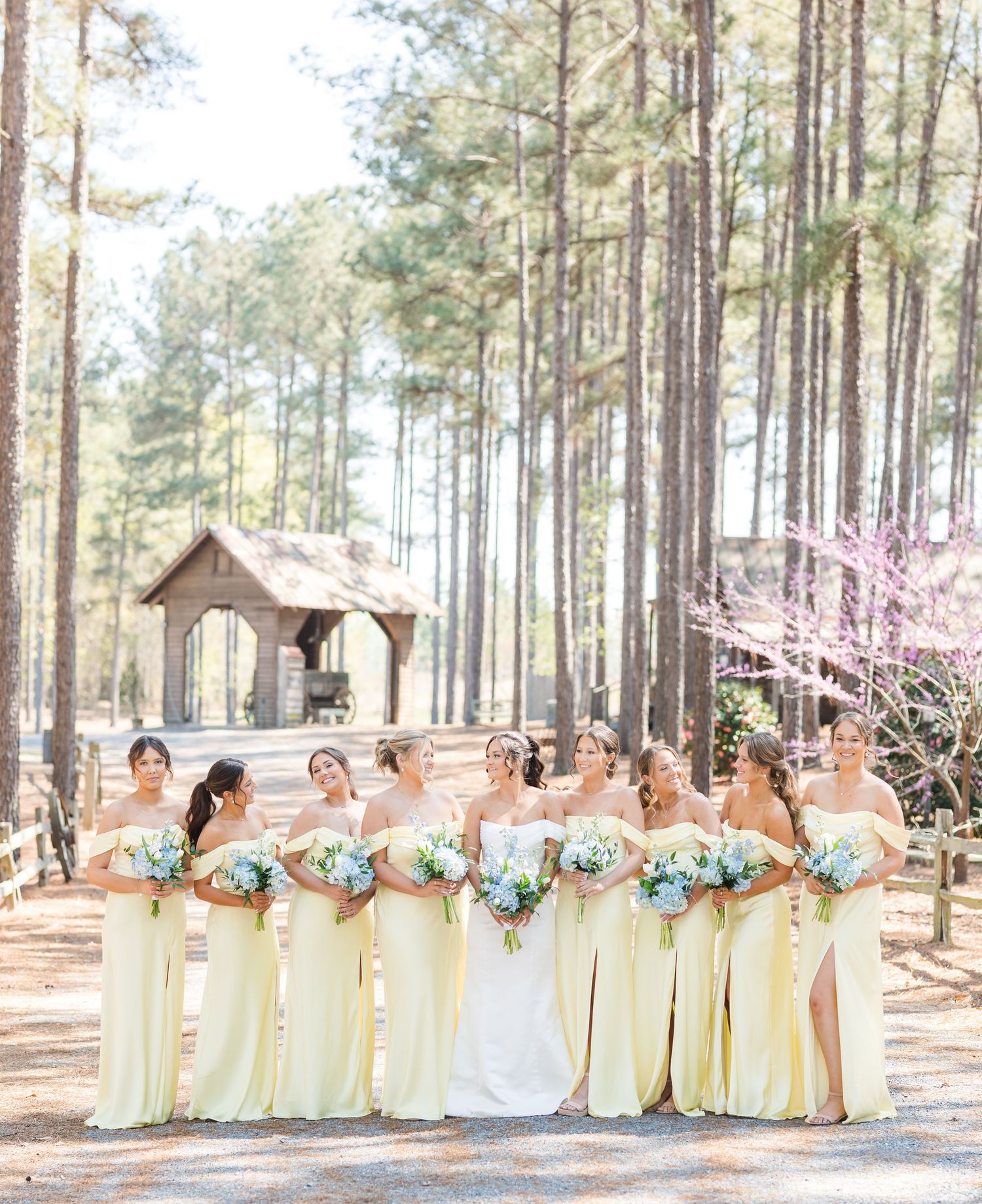 Wedding party in pale yellow bridesmaid dresses poses together in a scenic pine forest setting with blooming cherry trees.