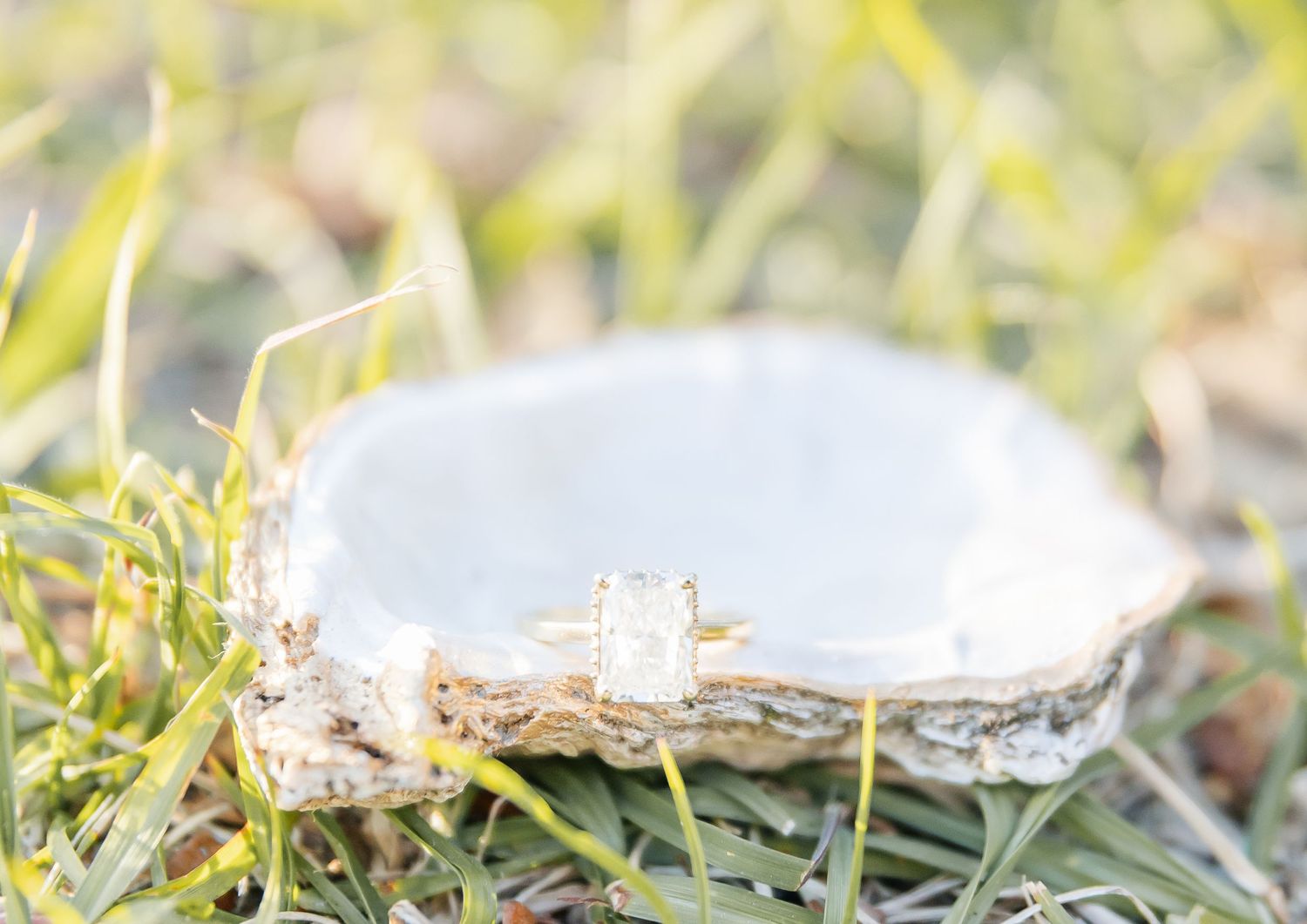 A diamond engagement ring rests on a delicate white seashell surrounded by grass.