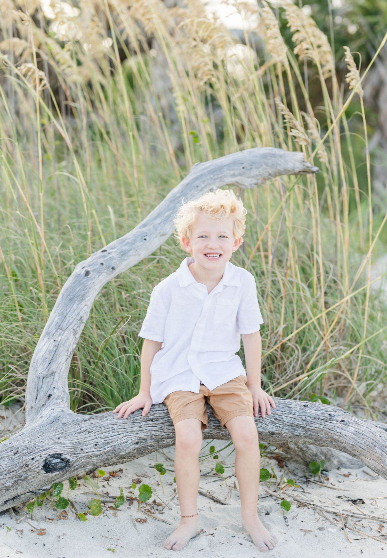 A child sits on weathered driftwood surrounded by beach grass in natural coastal setting.