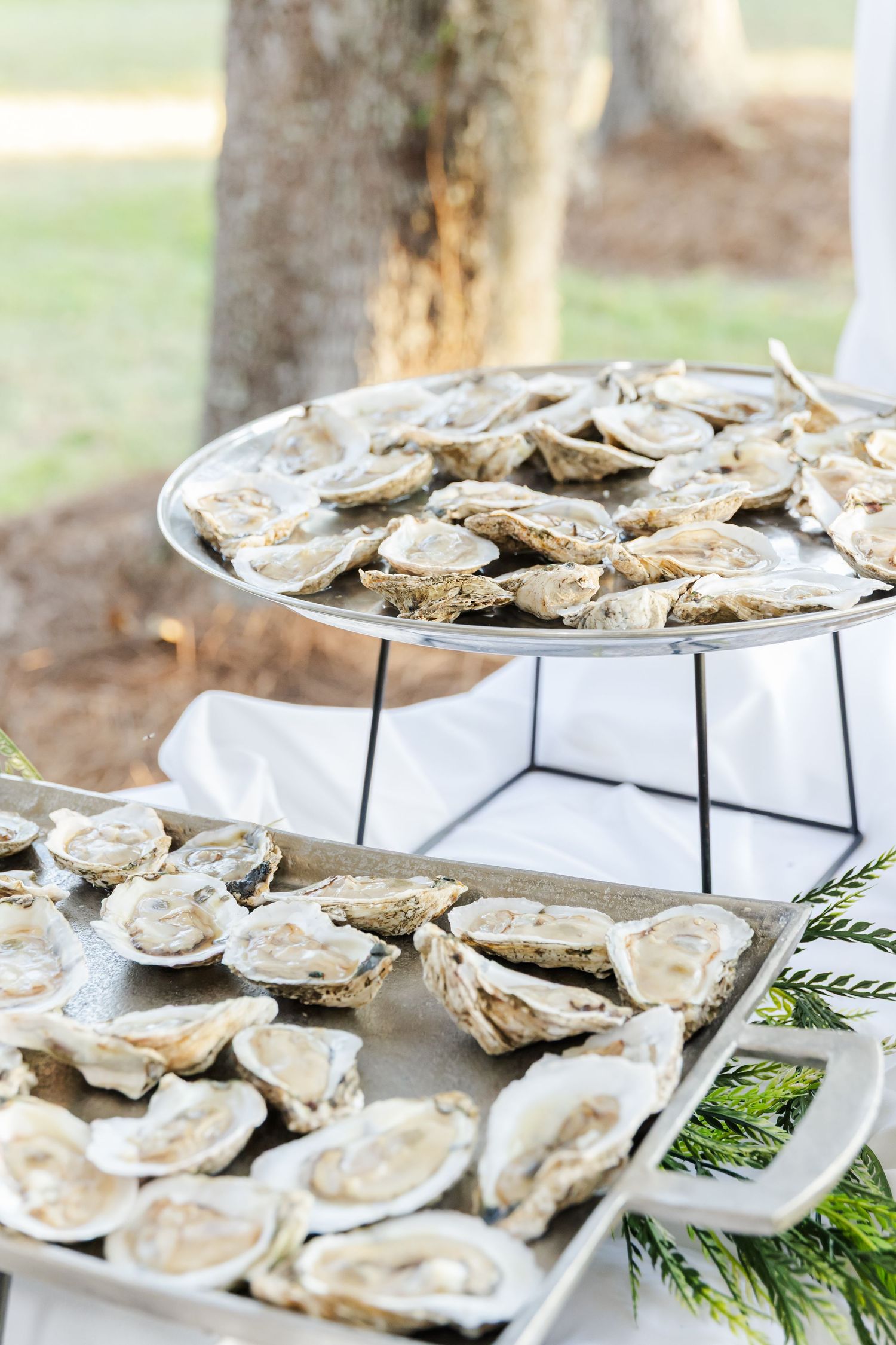 Fresh raw oysters displayed on tiered serving platters with evergreen garnish at a catering event.