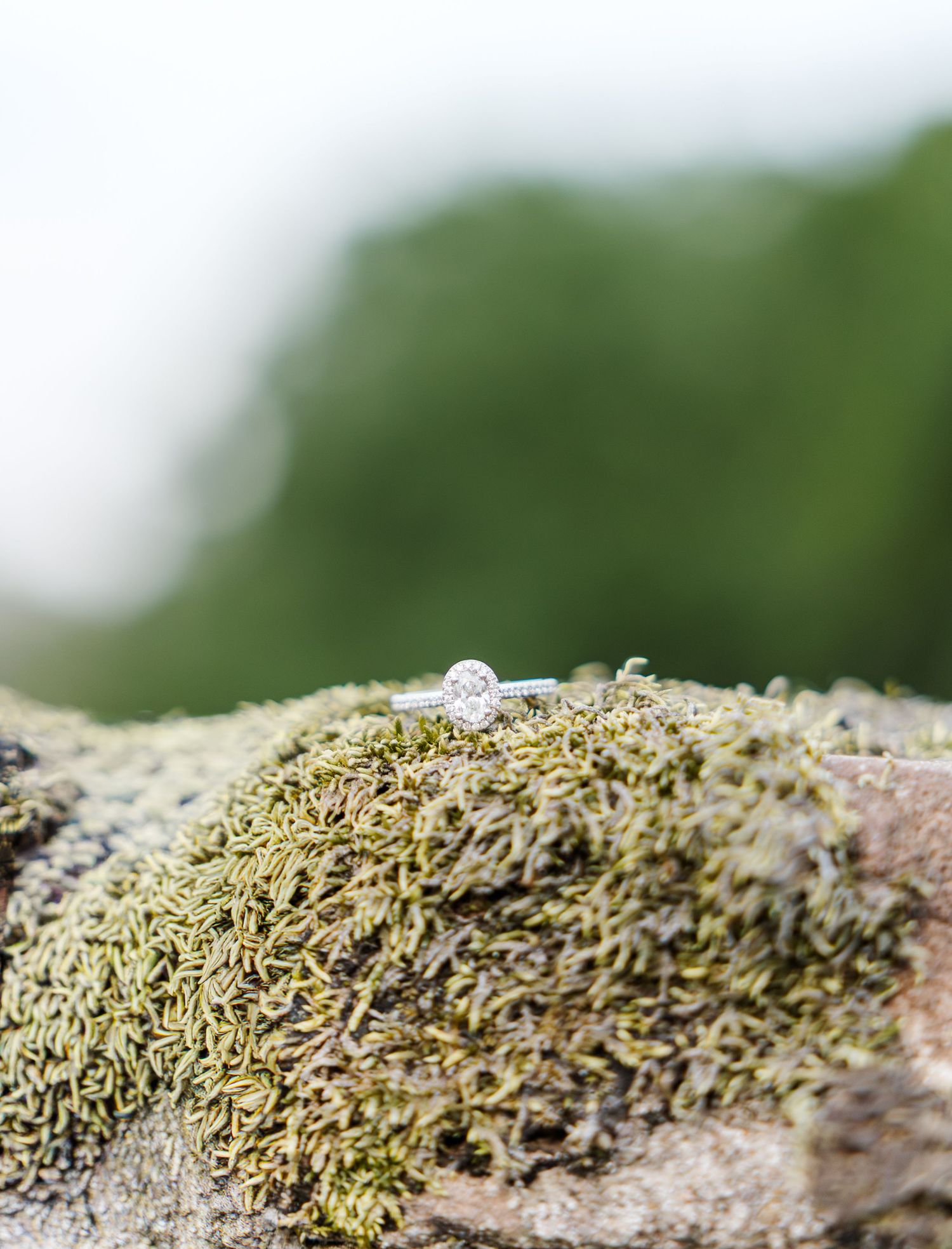 A delicate diamond solitaire engagement ring resting on a moss-covered rock in a natural outdoor setting.