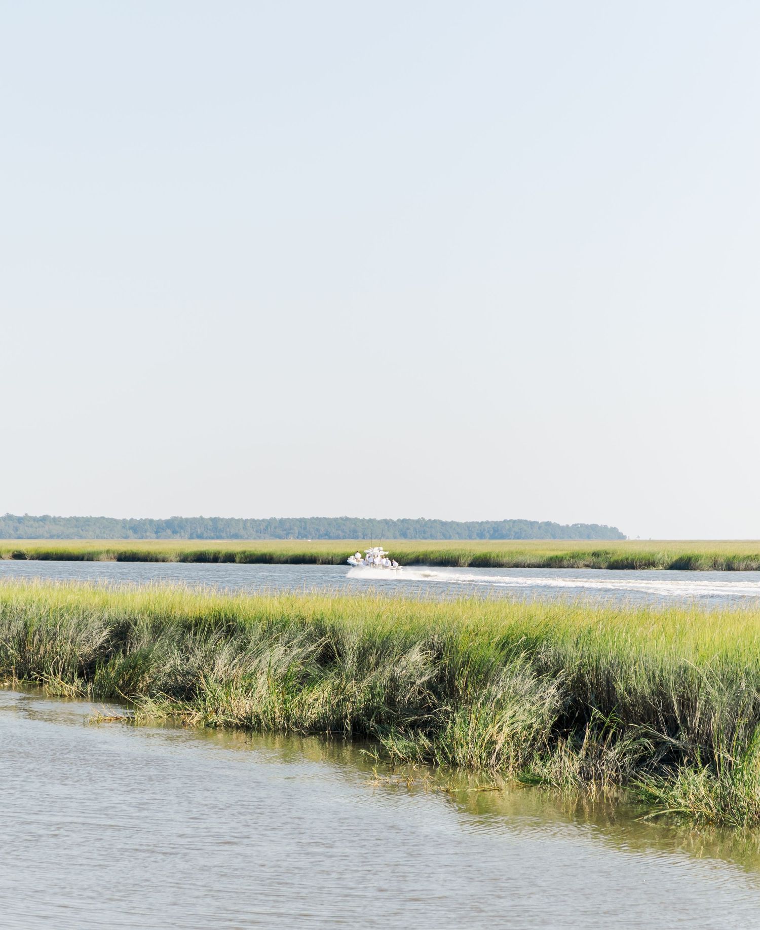 Scenic marsh landscape with tall grasses and water channels stretching to the horizon on a clear day.