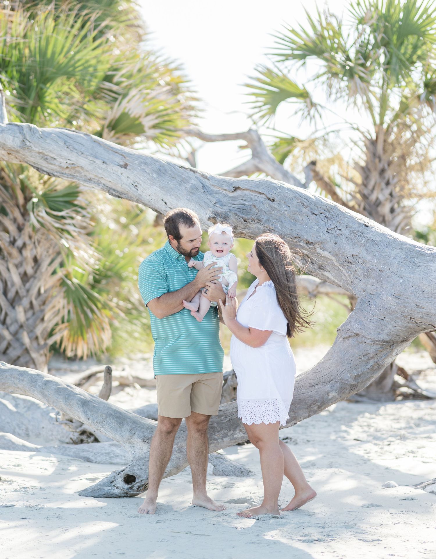 Family enjoying a beach day together near palm trees and driftwood on a white sandy shore.