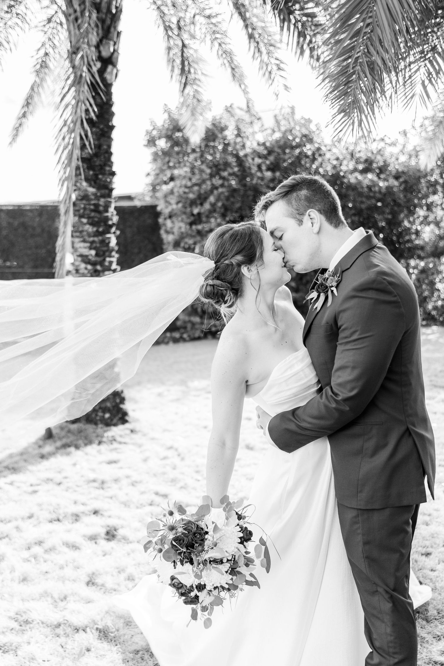 A romantic black and white wedding photo shows newlyweds embracing as the bride's veil flows in the wind by a palm tree.