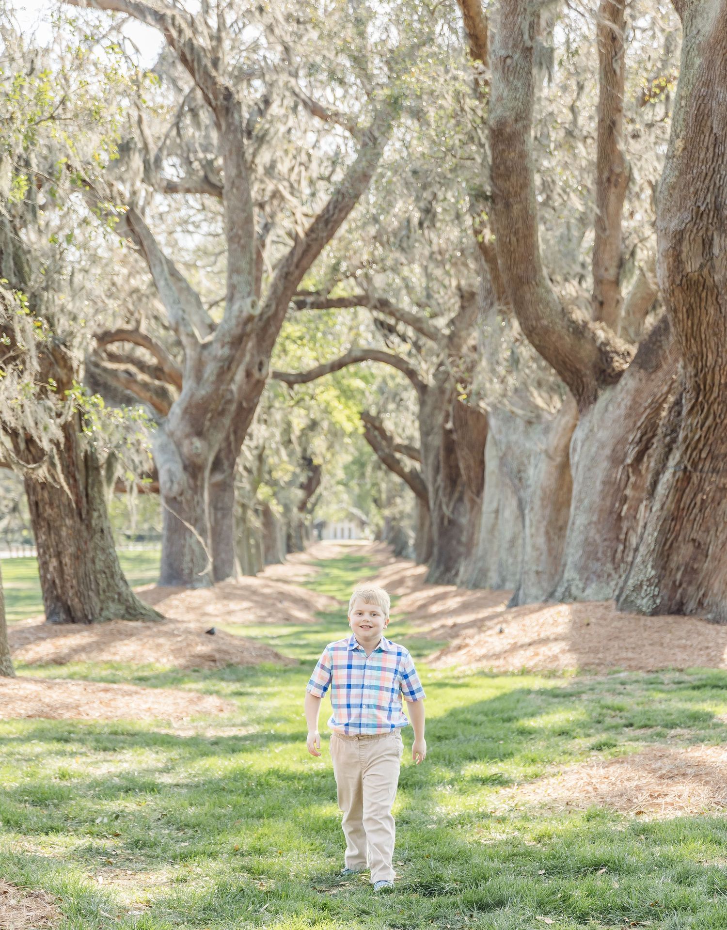 Child walks alone on nature path with towering oak trees creating natural archway overhead.