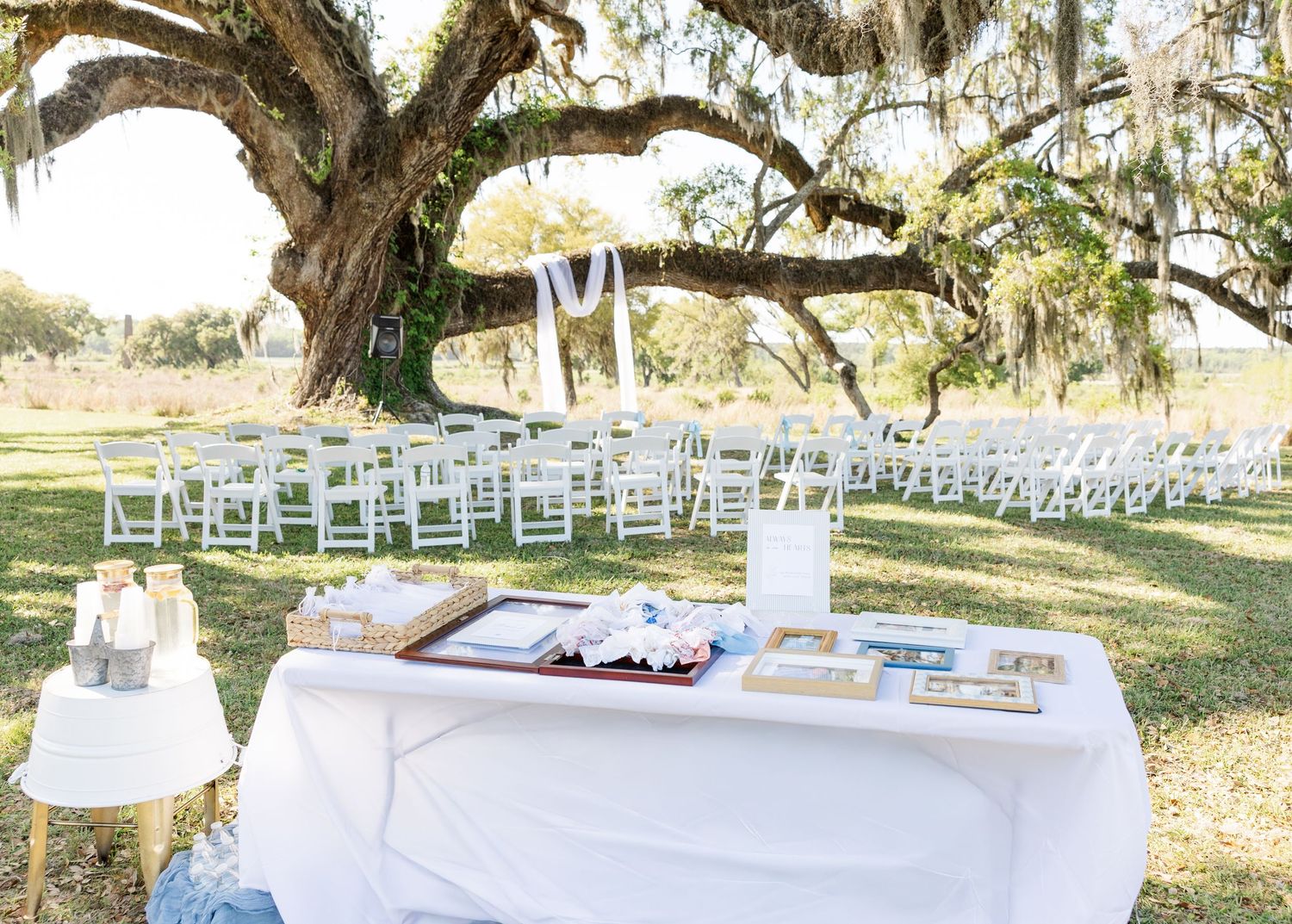 Outdoor wedding ceremony setup with white chairs under a large oak tree, draped with Spanish moss, beside an elegant display table.