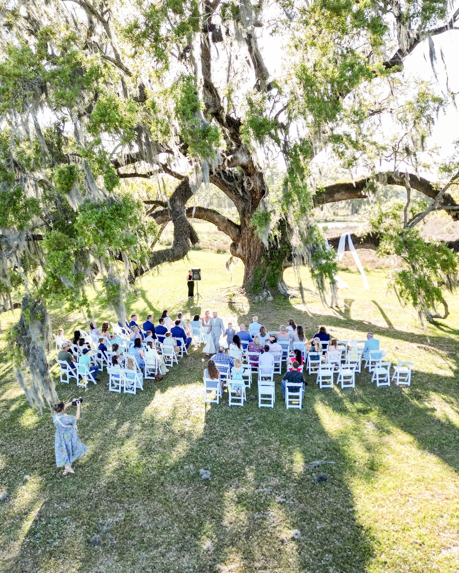 Aerial view of outdoor wedding ceremony under massive Spanish moss-draped oak tree with white chairs.