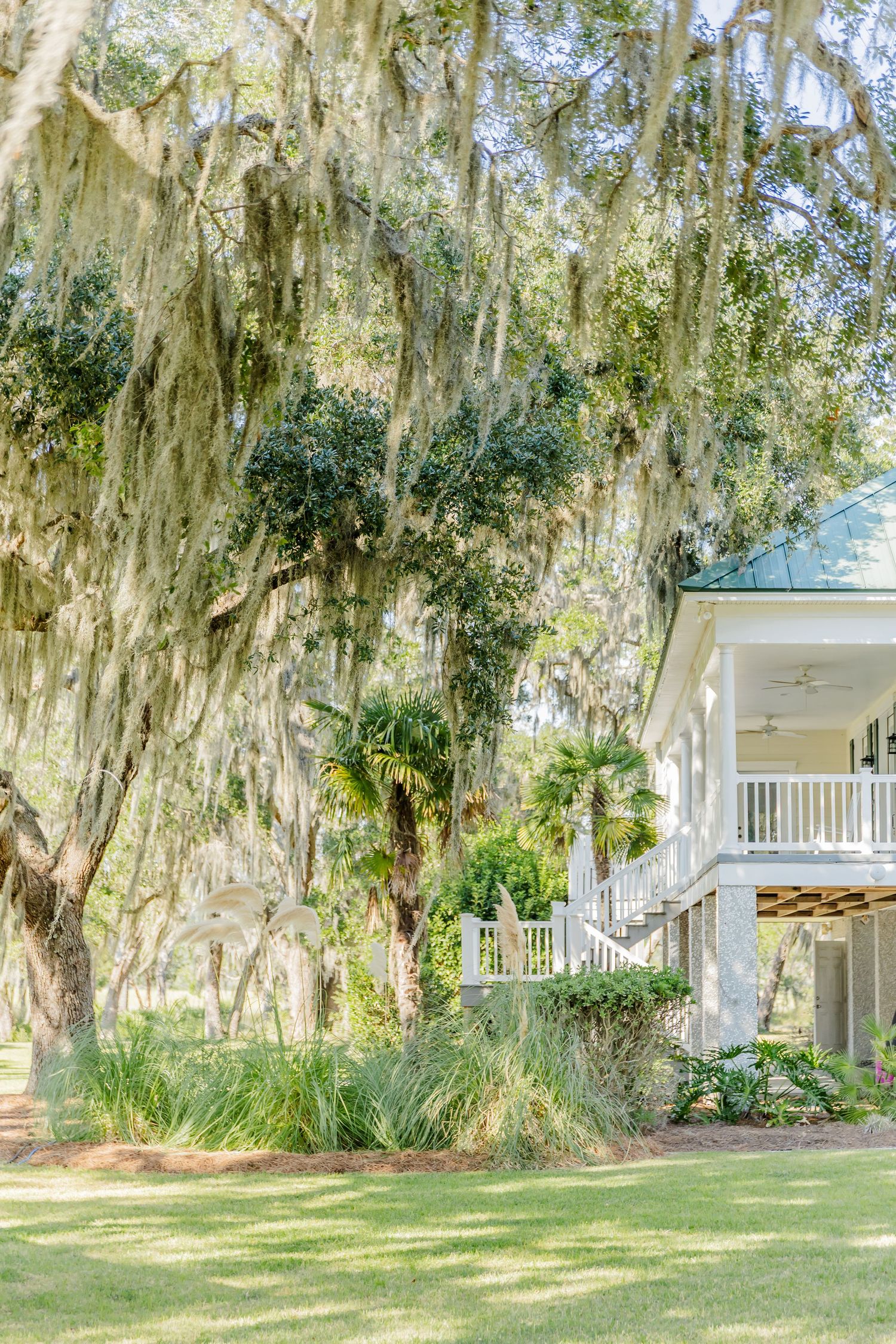 Spanish moss drapes elegantly from oak trees surrounding a white house with a covered porch in a serene Southern setting.