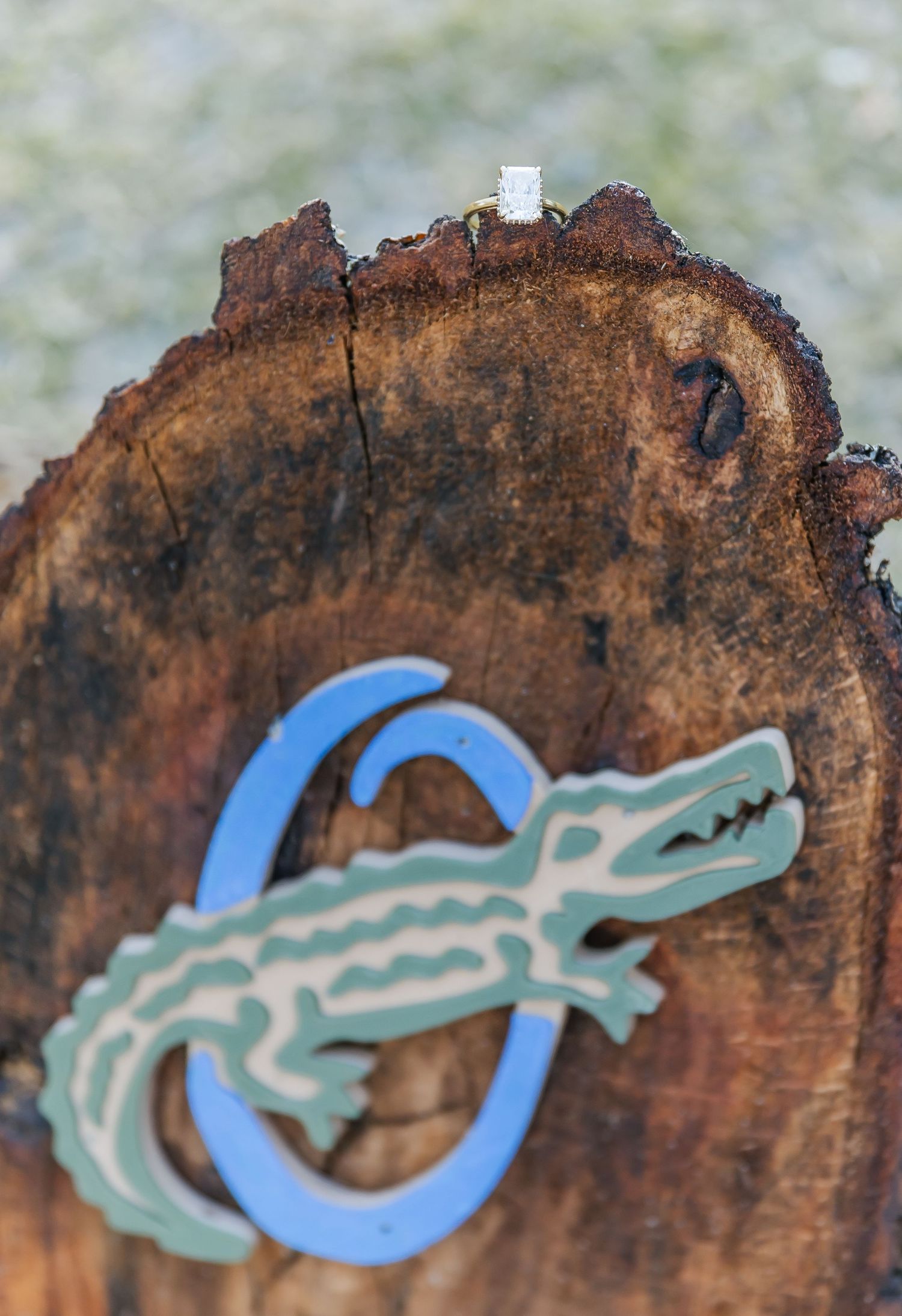 Logo design featuring a light blue and mint green alligator on a rustic wood surface.
