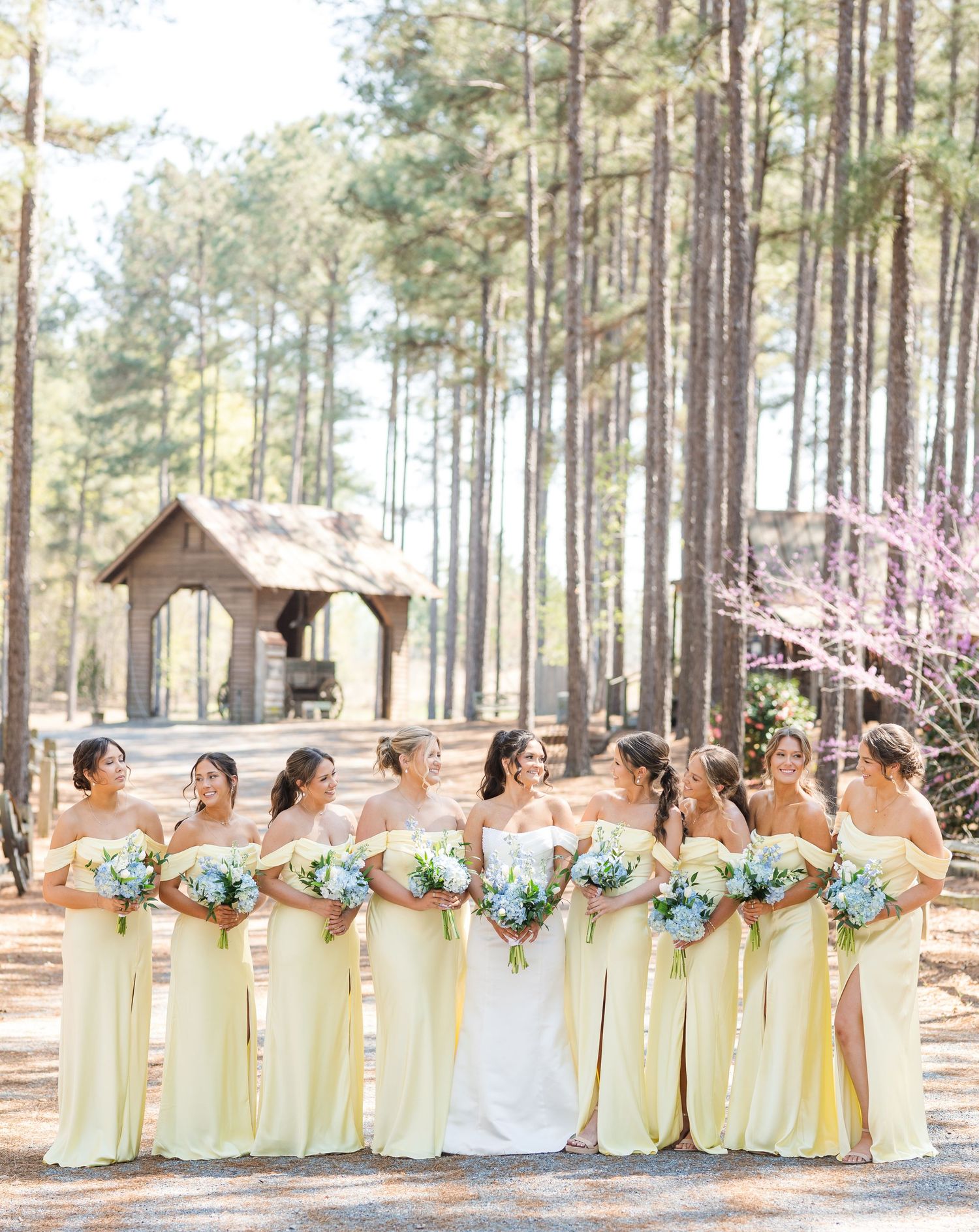 Bridesmaids in yellow gowns holding blue hydrangea bouquets with bride in pine tree setting.