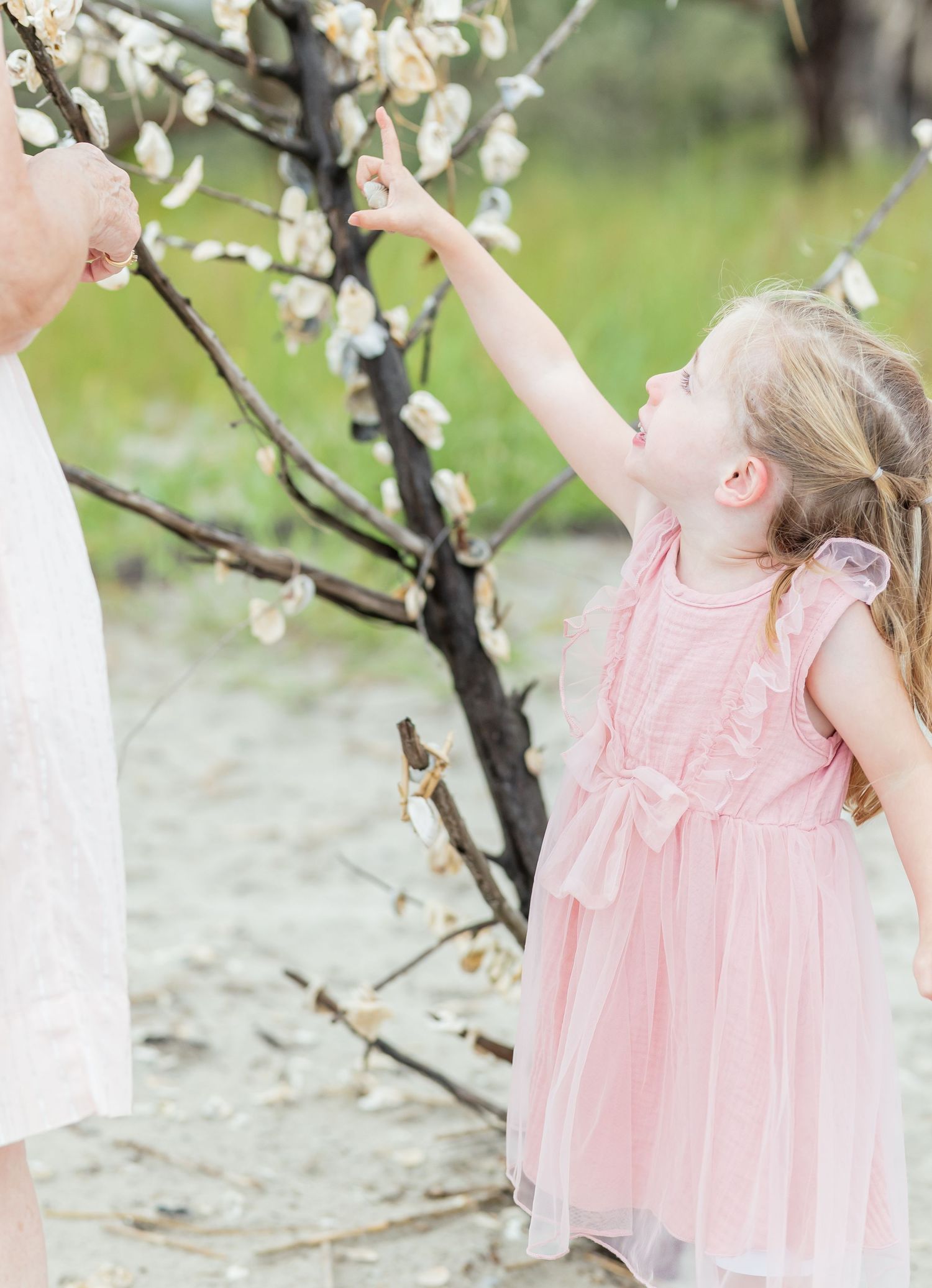 A dreamy spring scene with delicate white cherry blossoms and a pink dress reaching up to touch the flowering branches.