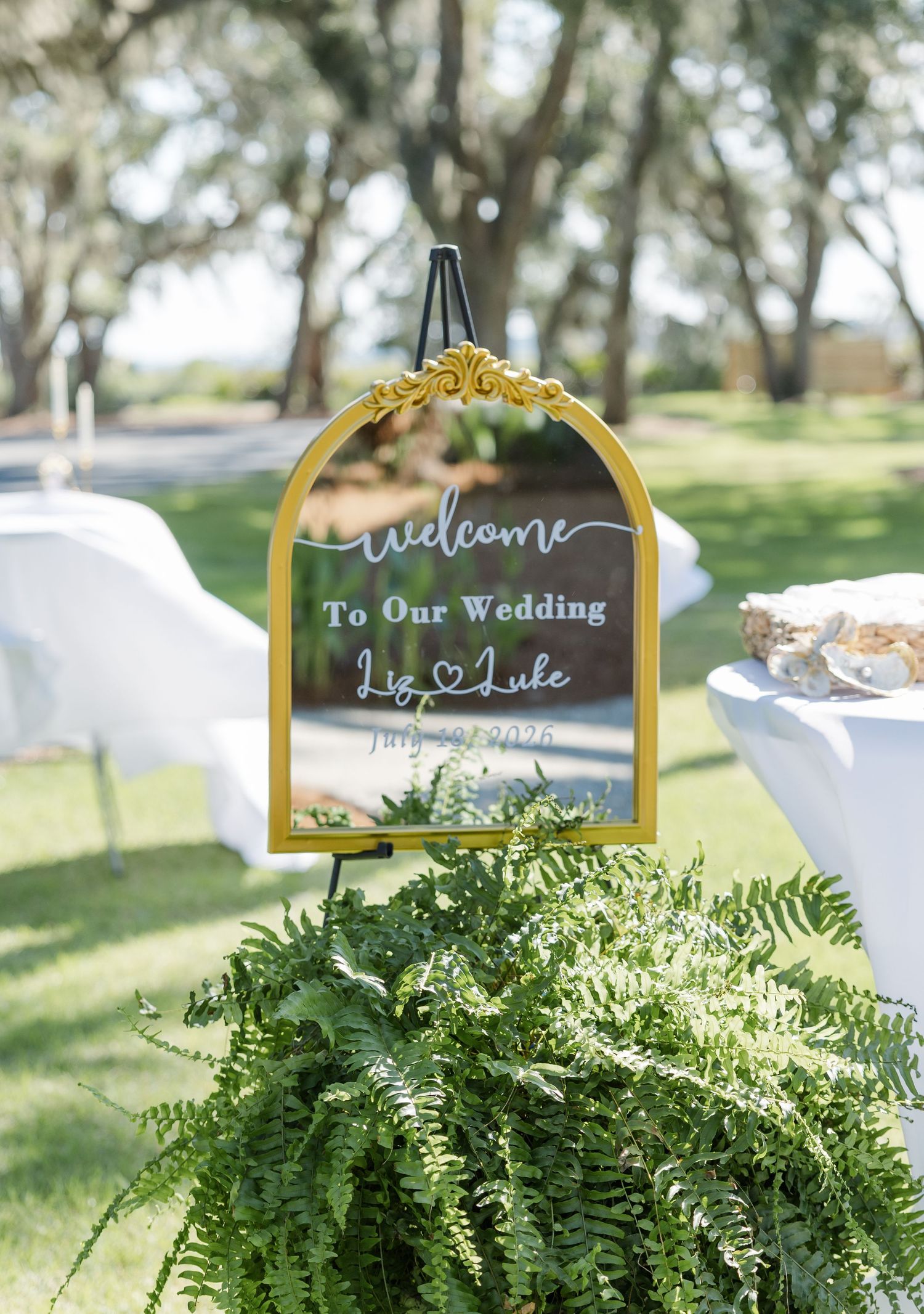 Gold-framed mirror wedding welcome sign for Liz and Luke displayed on easel surrounded by lush green ferns at outdoor ceremony.