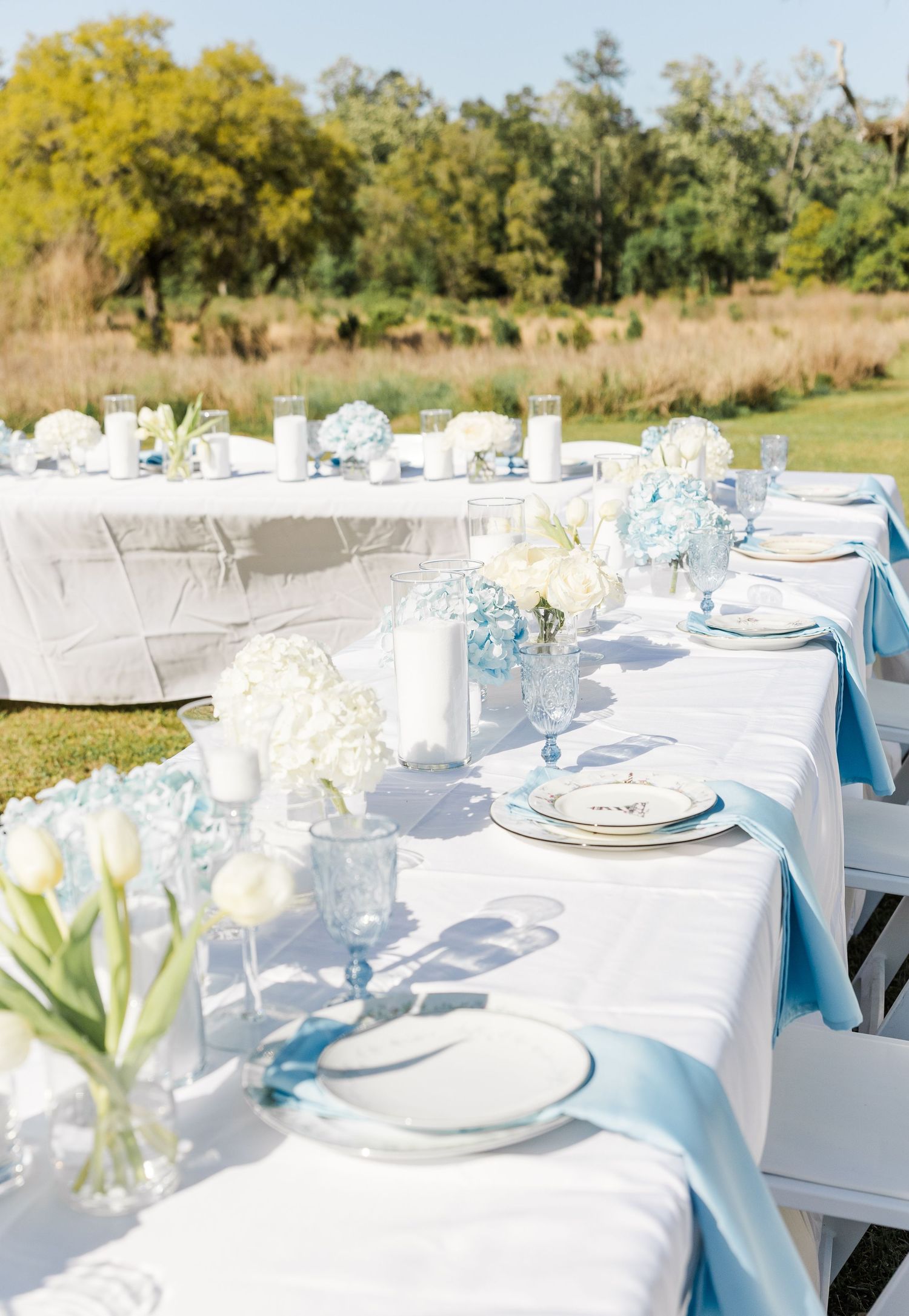 Elegant outdoor wedding reception tables with blue hydrangeas, white tulips, and light blue ribbon accents.