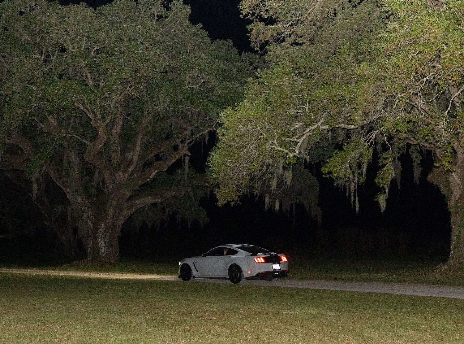 White sports car parked under large Spanish moss-covered oak trees at night.