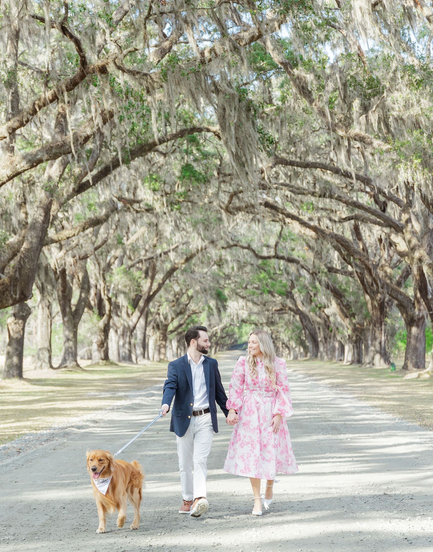 Couple walking with golden dog under Spanish moss-draped oak trees.