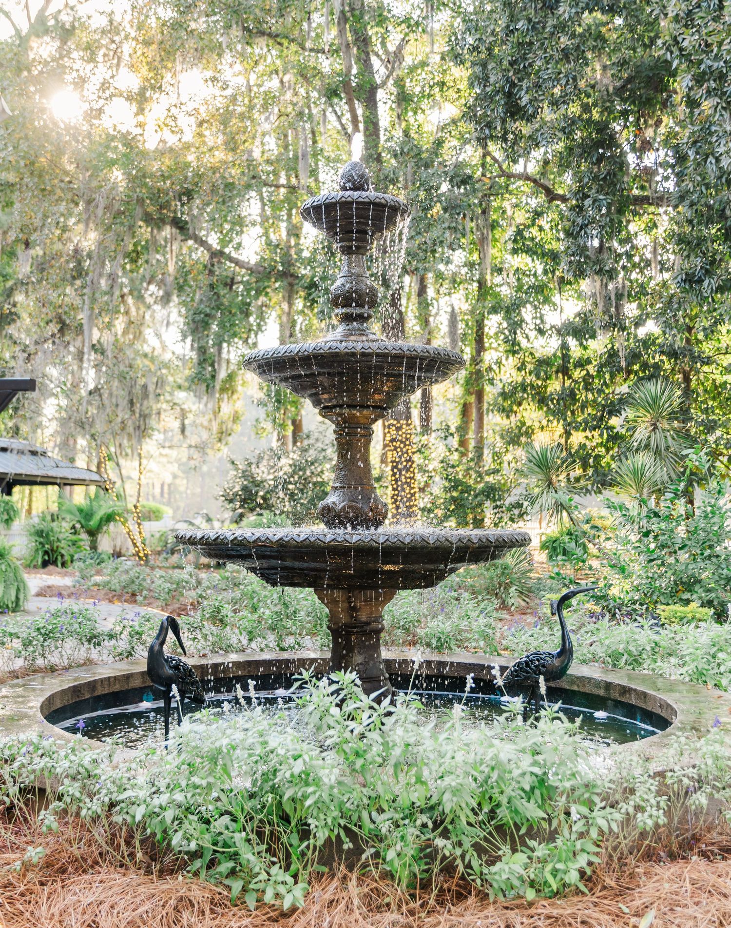 A decorative garden fountain surrounded by lush greenery and ferns creates a serene outdoor setting in natural light.