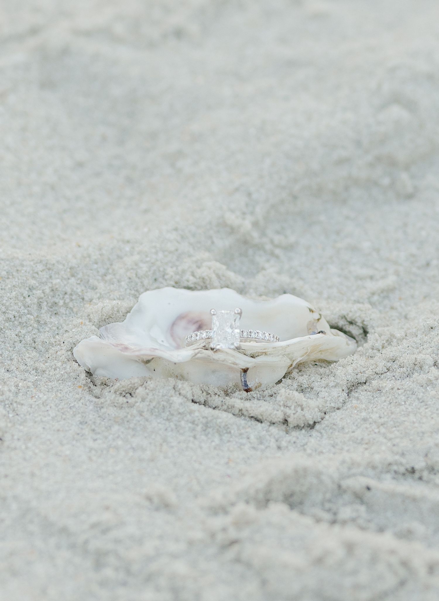 An open oyster shell resting in white sand on a beach, revealing a lustrous pearl inside.