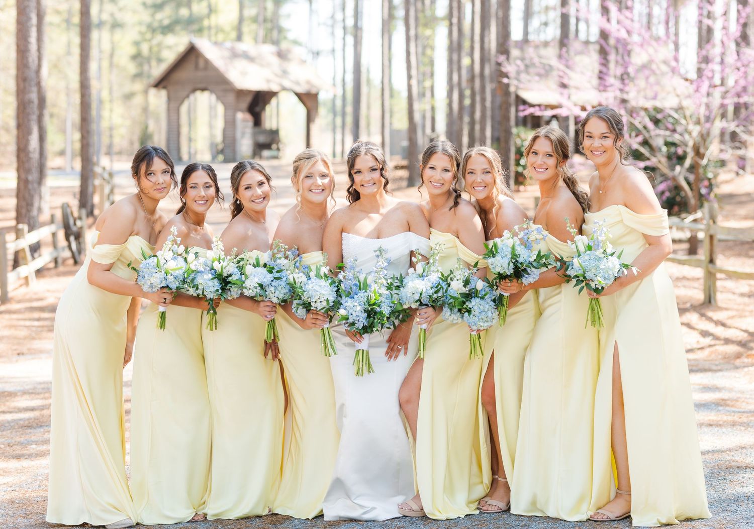 Bride poses with seven bridesmaids in yellow gowns holding blue floral bouquets in pine forest.