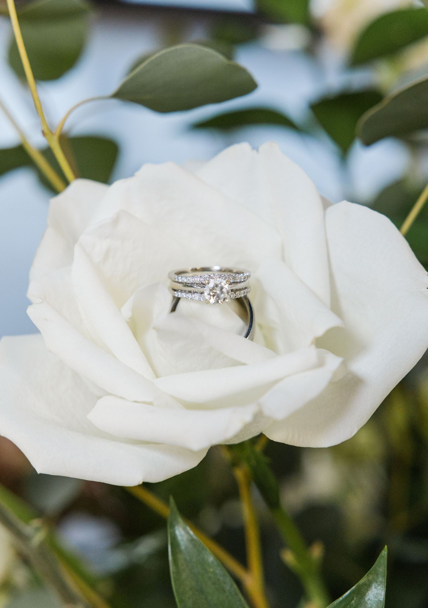 Diamond engagement ring and wedding band nestled in a white rose bloom.