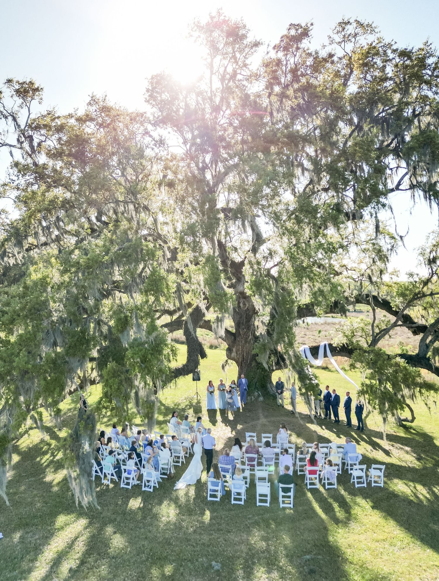 Aerial view of an outdoor wedding ceremony under a massive oak tree draped with Spanish moss on a sunny day.