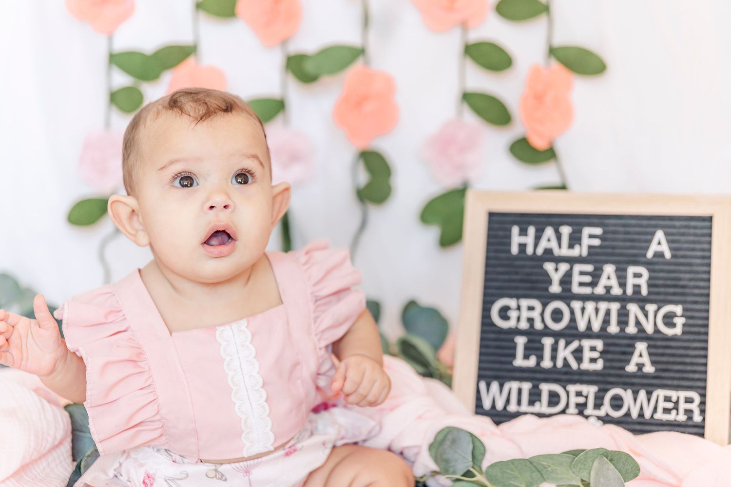 Baby in pink dress next to letter board reading 'Half A Year Growing Like A Wildflower'.