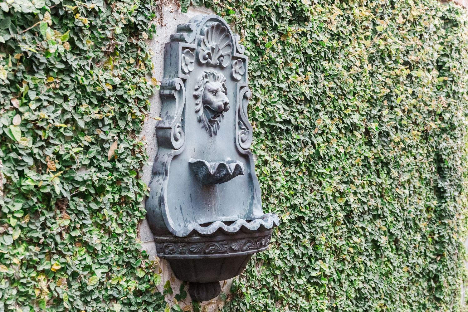 Decorative stone faces and ornate sculptures mounted on a wall covered in green climbing ivy.