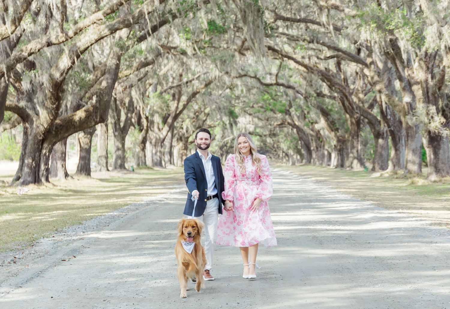 Spanish moss draped oak trees line pathway with couple walking golden retriever.