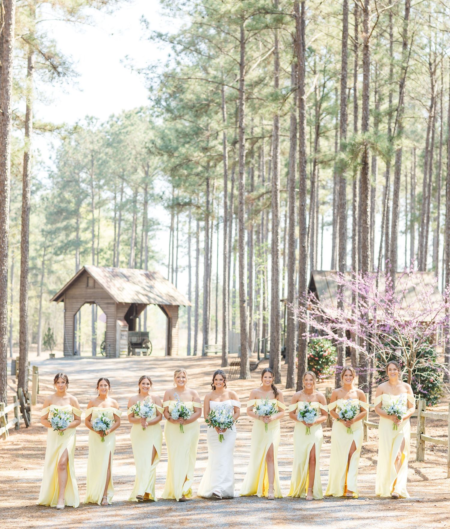 Bride and bridesmaids in yellow dresses walk together along pine tree-lined wedding venue path.