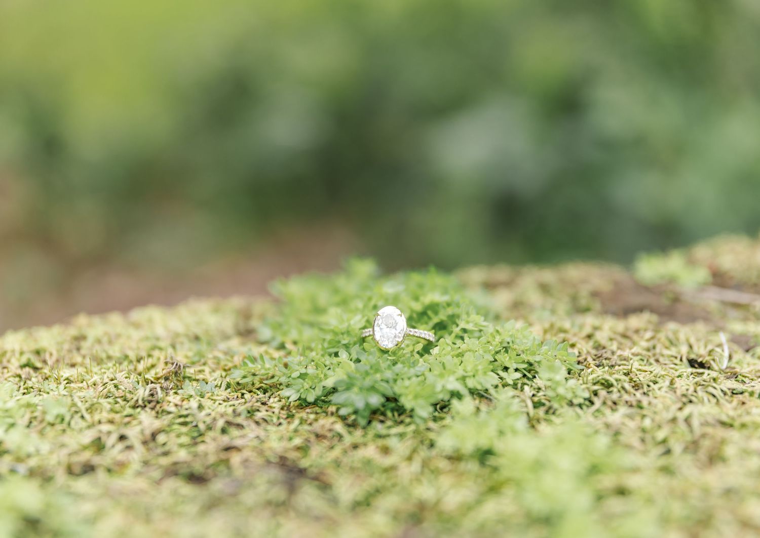 Close-up view of bright green moss growing on a weathered surface creating a natural textured pattern.