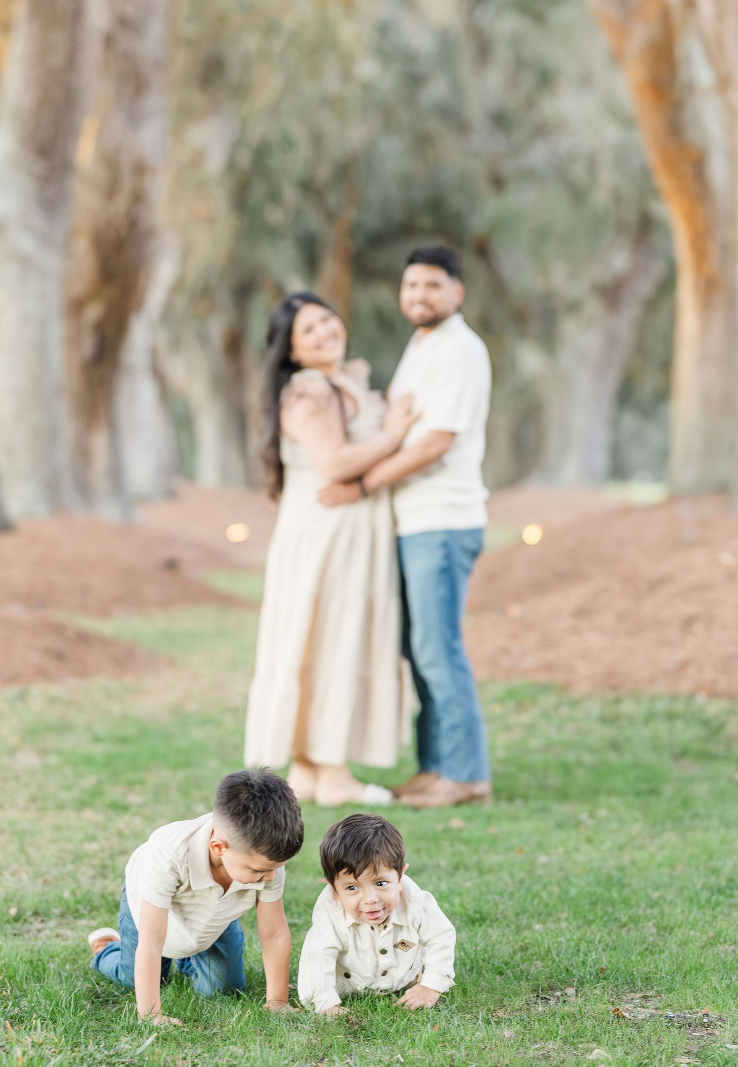 Candid family photo session showing playful interactions on grass with eucalyptus grove backdrop.